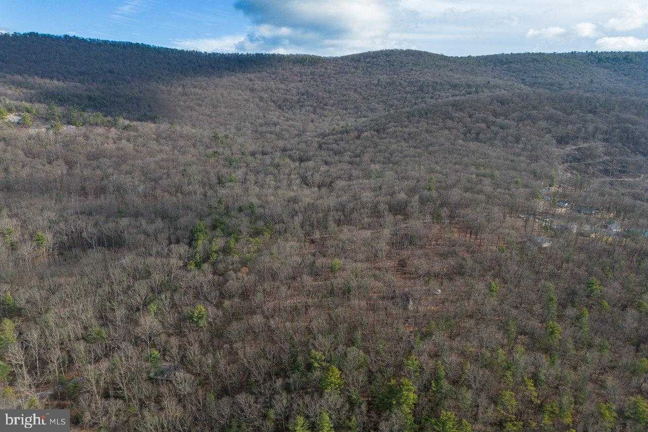 800 Cove Mountain Rd photo 91