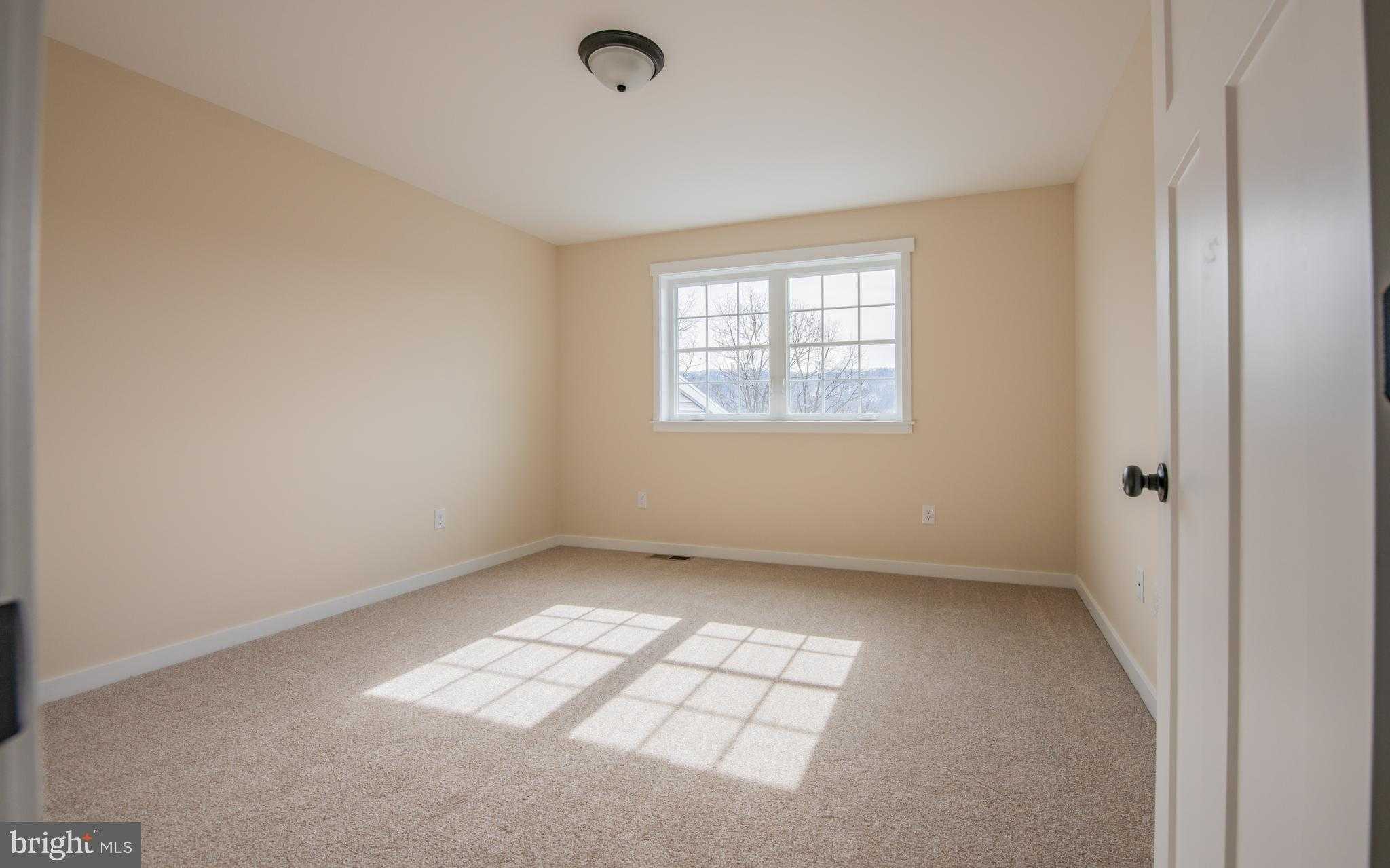 53 Wisteria Ln photo 19