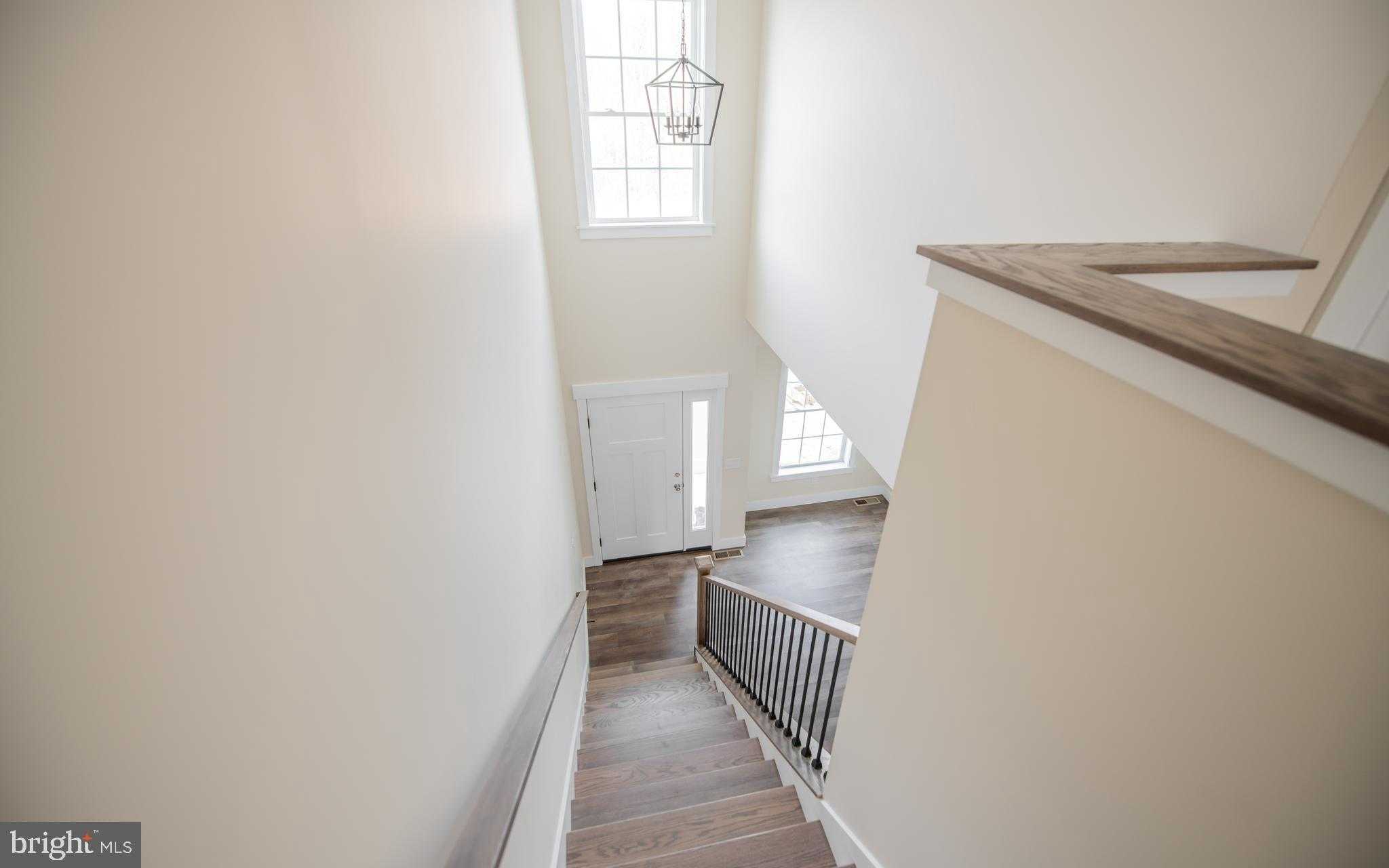 53 Wisteria Ln photo 5