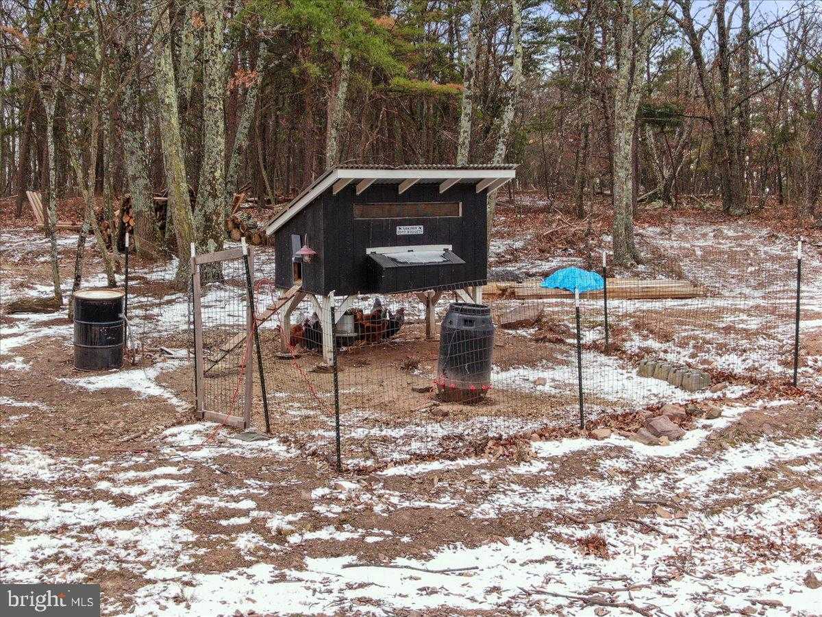 783 Pee Wee Ln photo 49