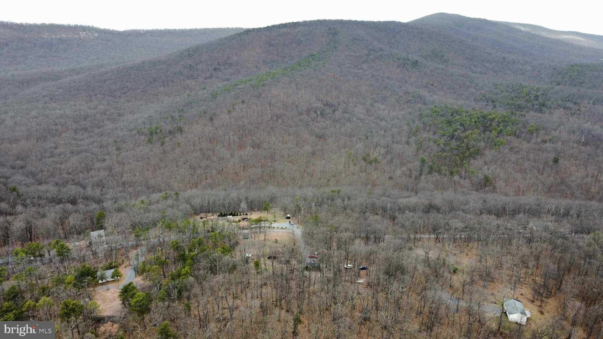 783 Pee Wee Ln photo 57