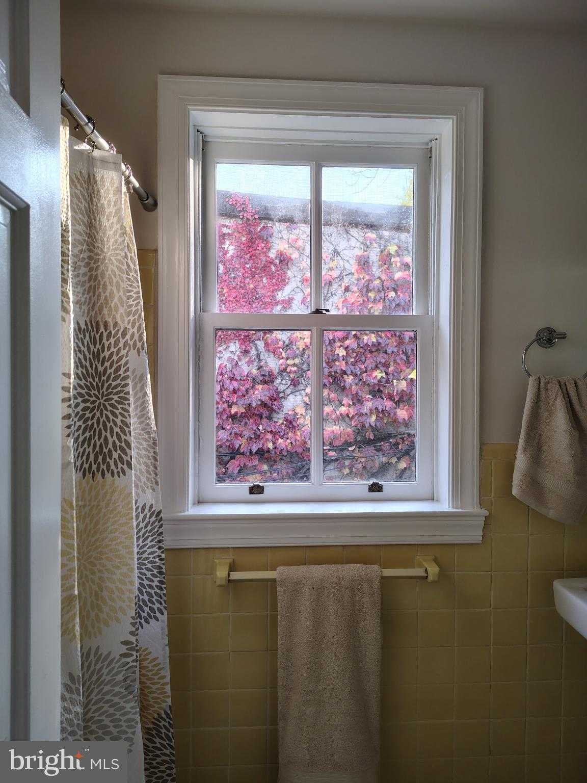 4 Rainey CT photo 31