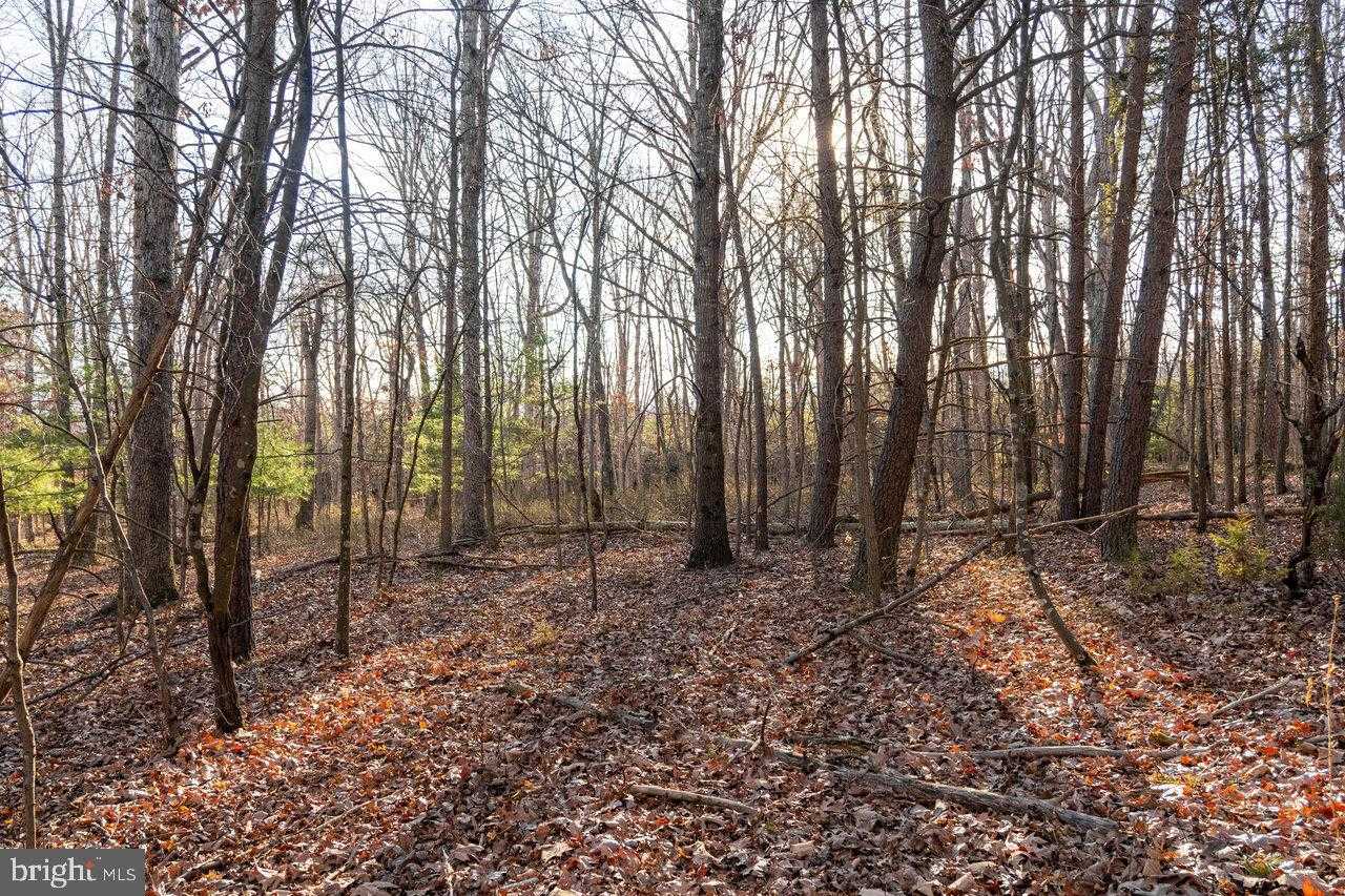 Woodland Dr photo 21