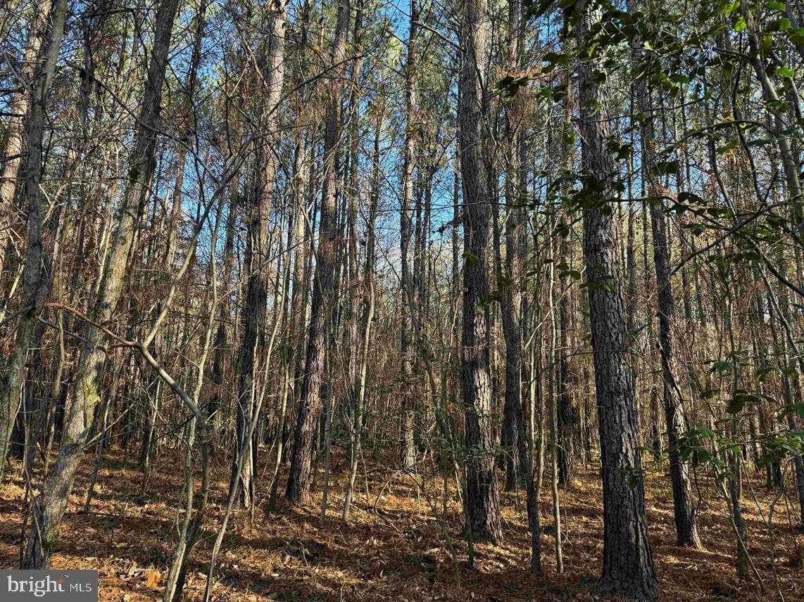 Greensville Ave photo 13