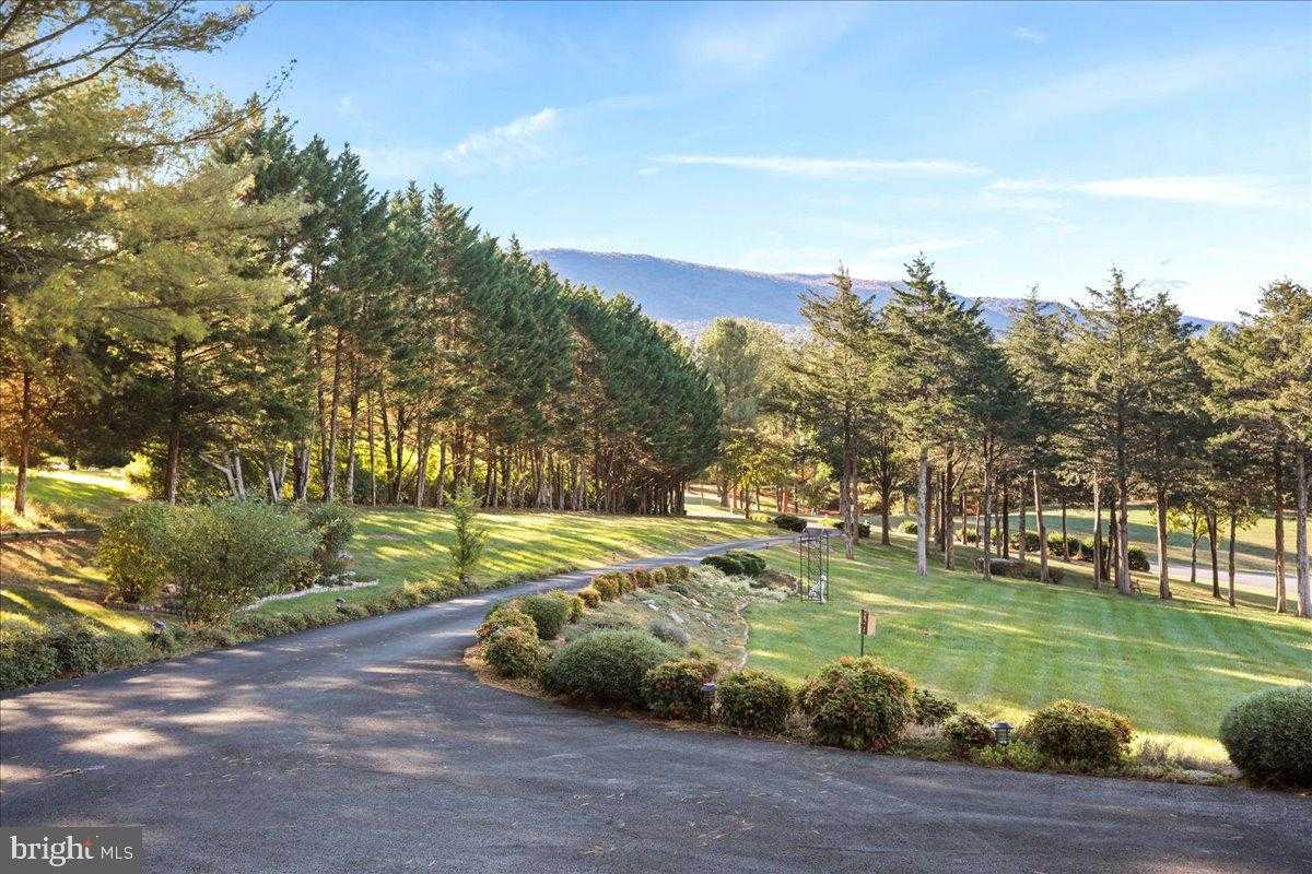 40 Birdsong Ln photo 3