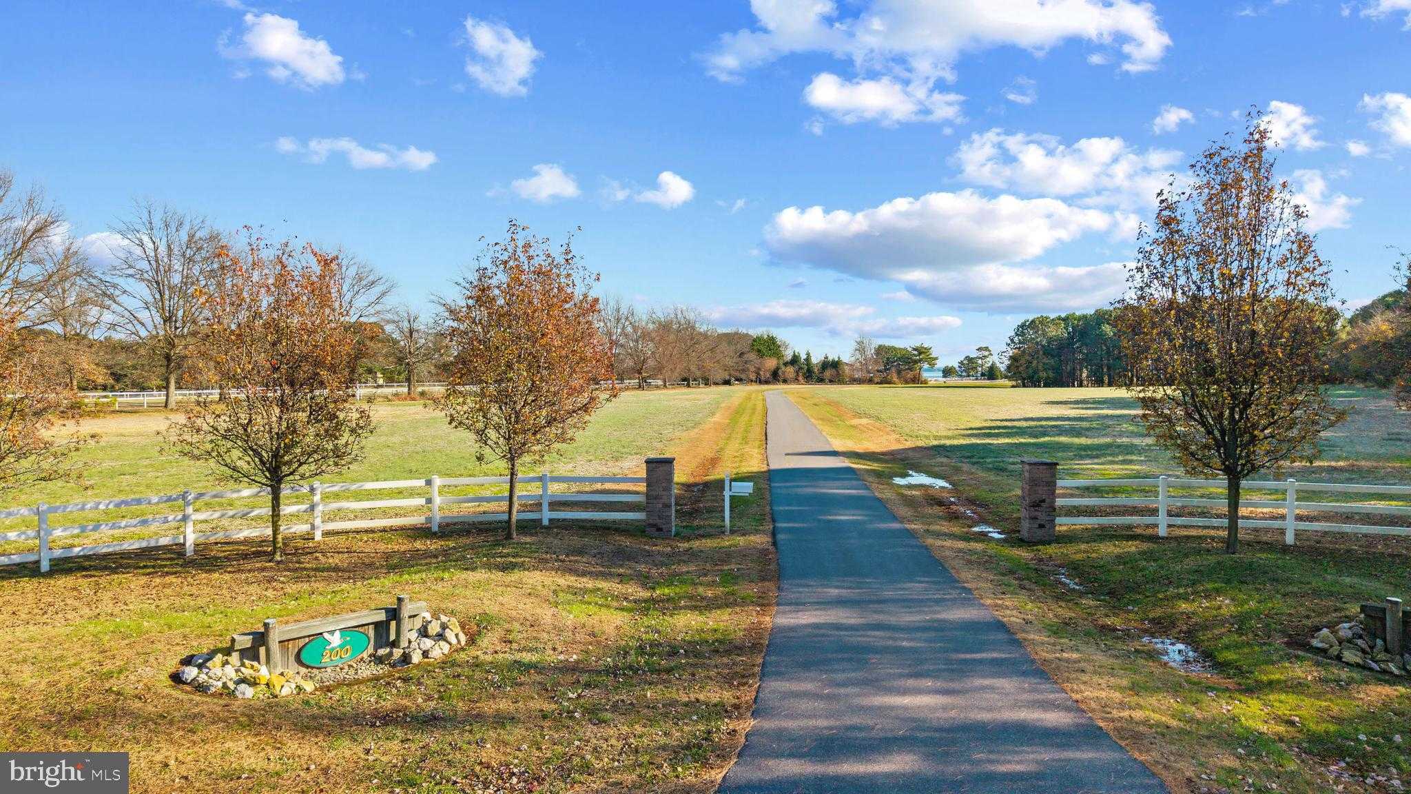 200 Mallard Cove Ln photo 35