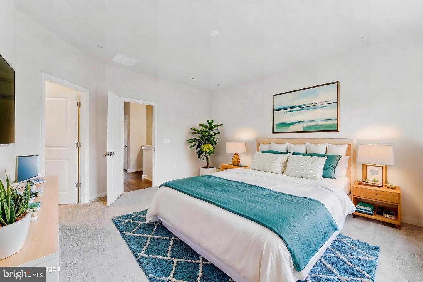 26438 Sir Jamie Ter photo 11