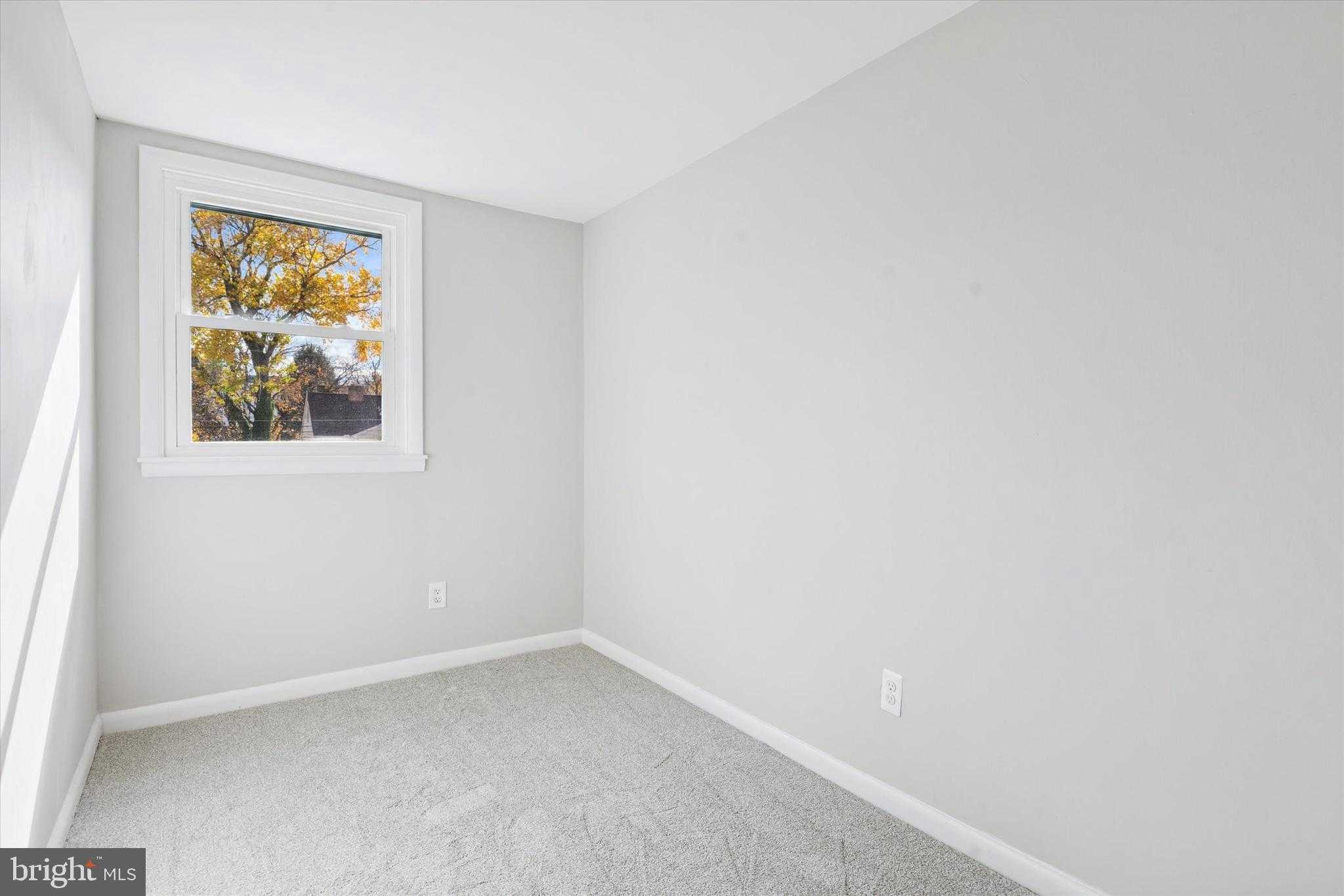 334 Mary St photo 11