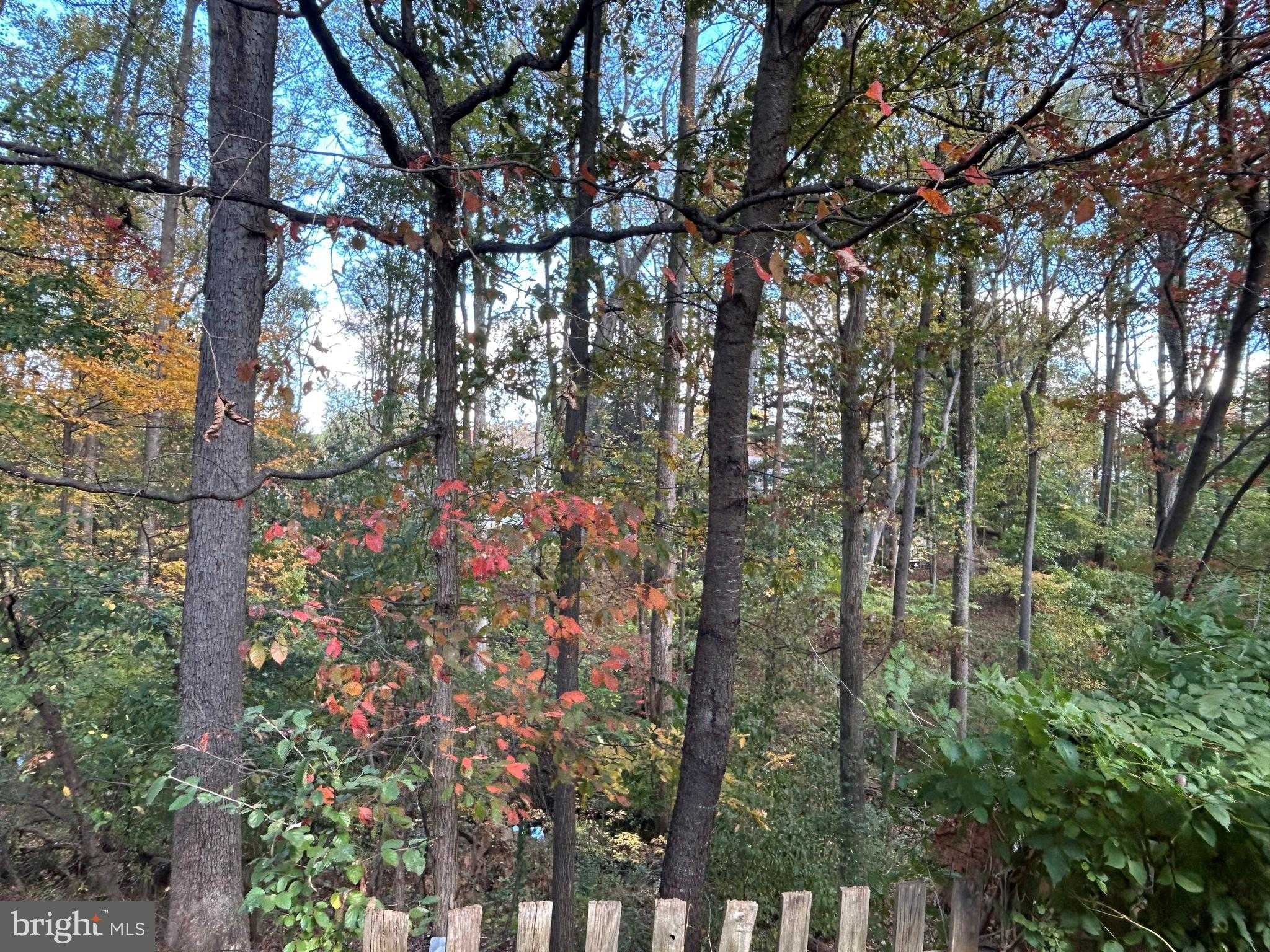 12255 Tildenwood Dr photo 3