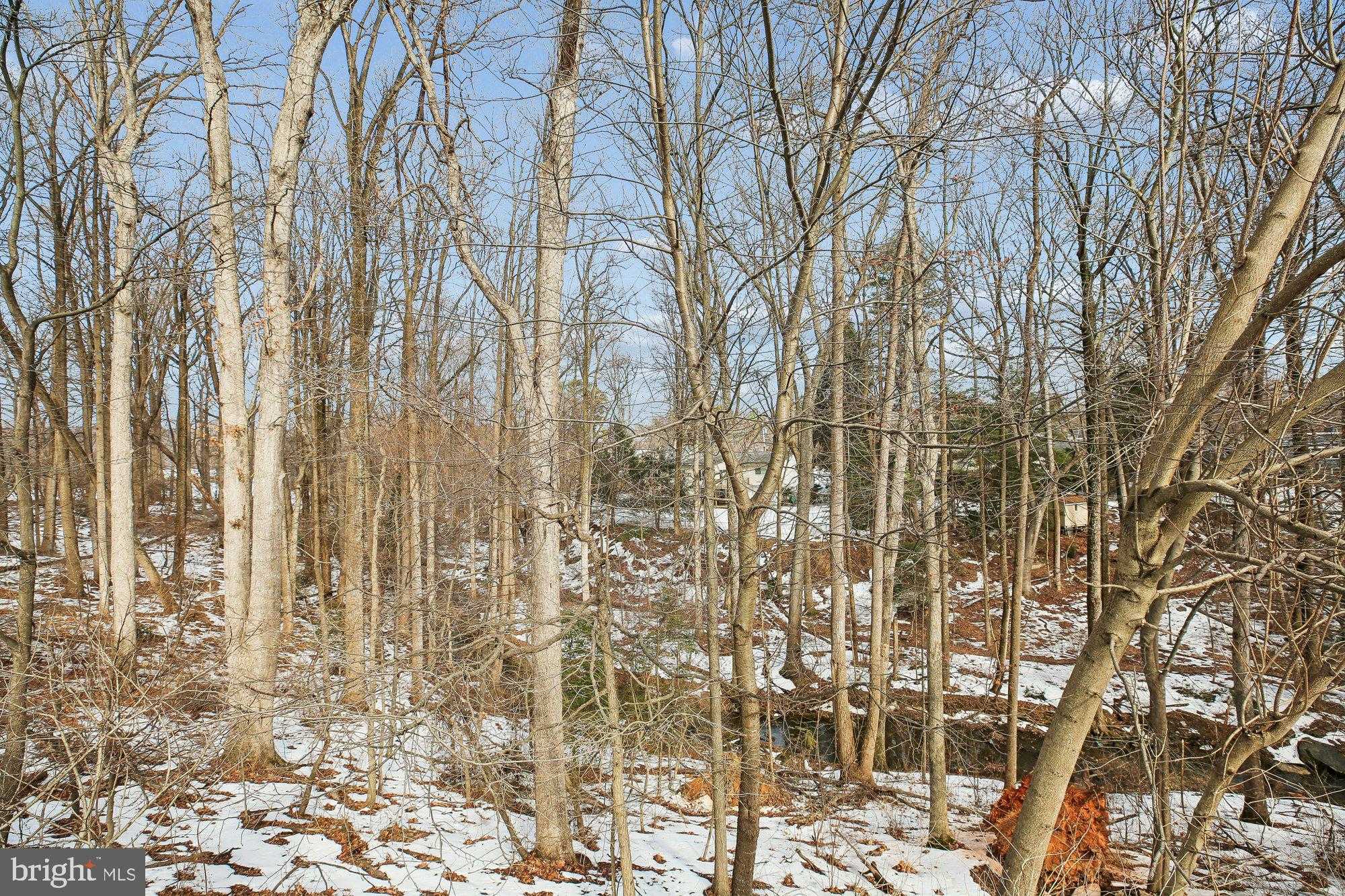 12255 Tildenwood Dr photo 33