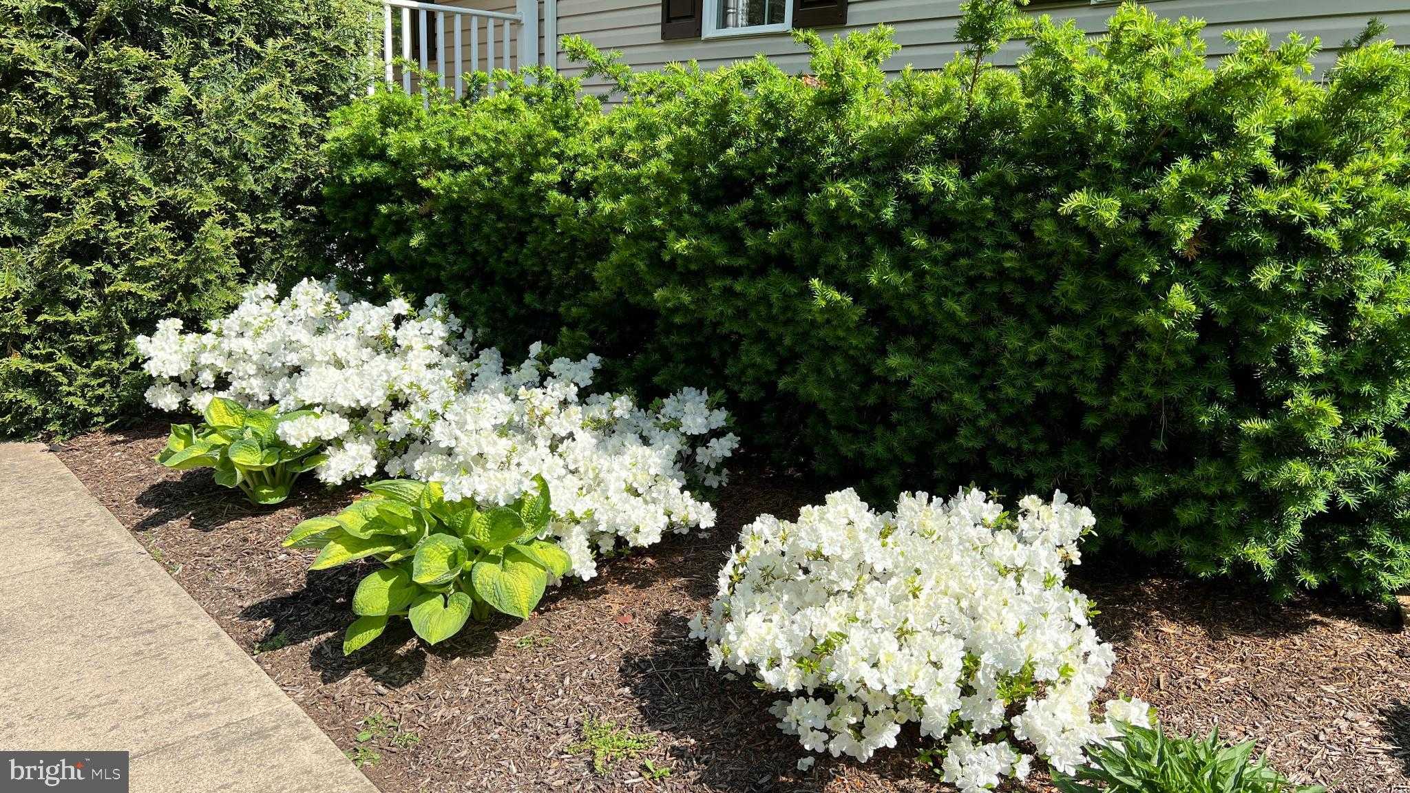 13403 Alva Brooks Ln photo 8