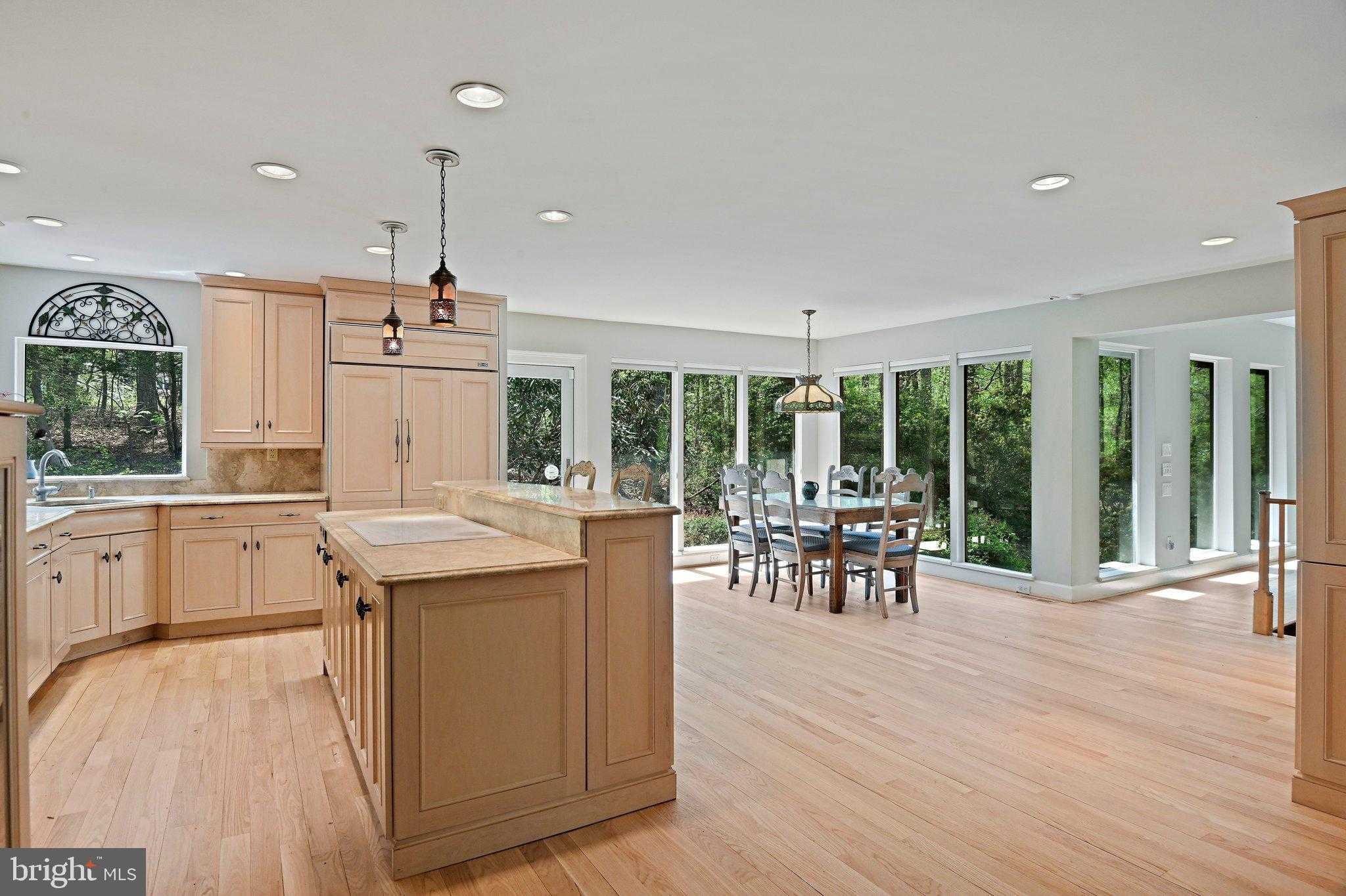 951 Captain Hickory Dr photo 9