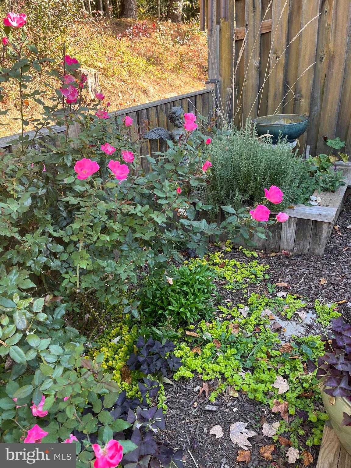 1943 Marconi Cir photo 26