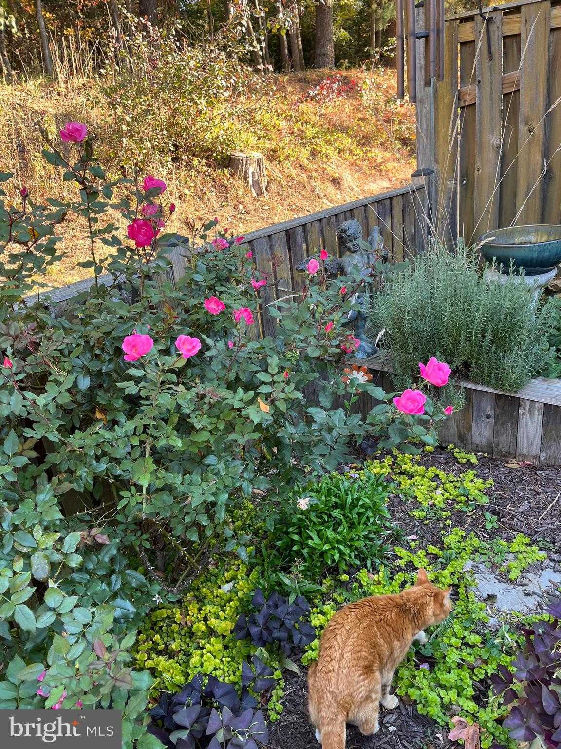 1943 Marconi Cir photo 27