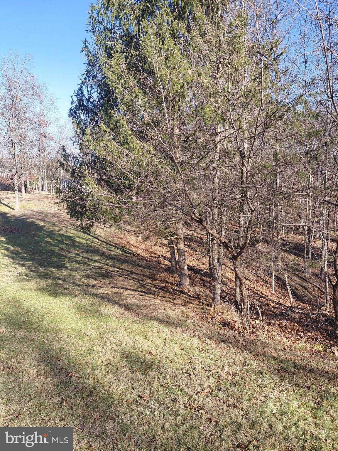 133 Upper Hawk Ridge Rd photo 16