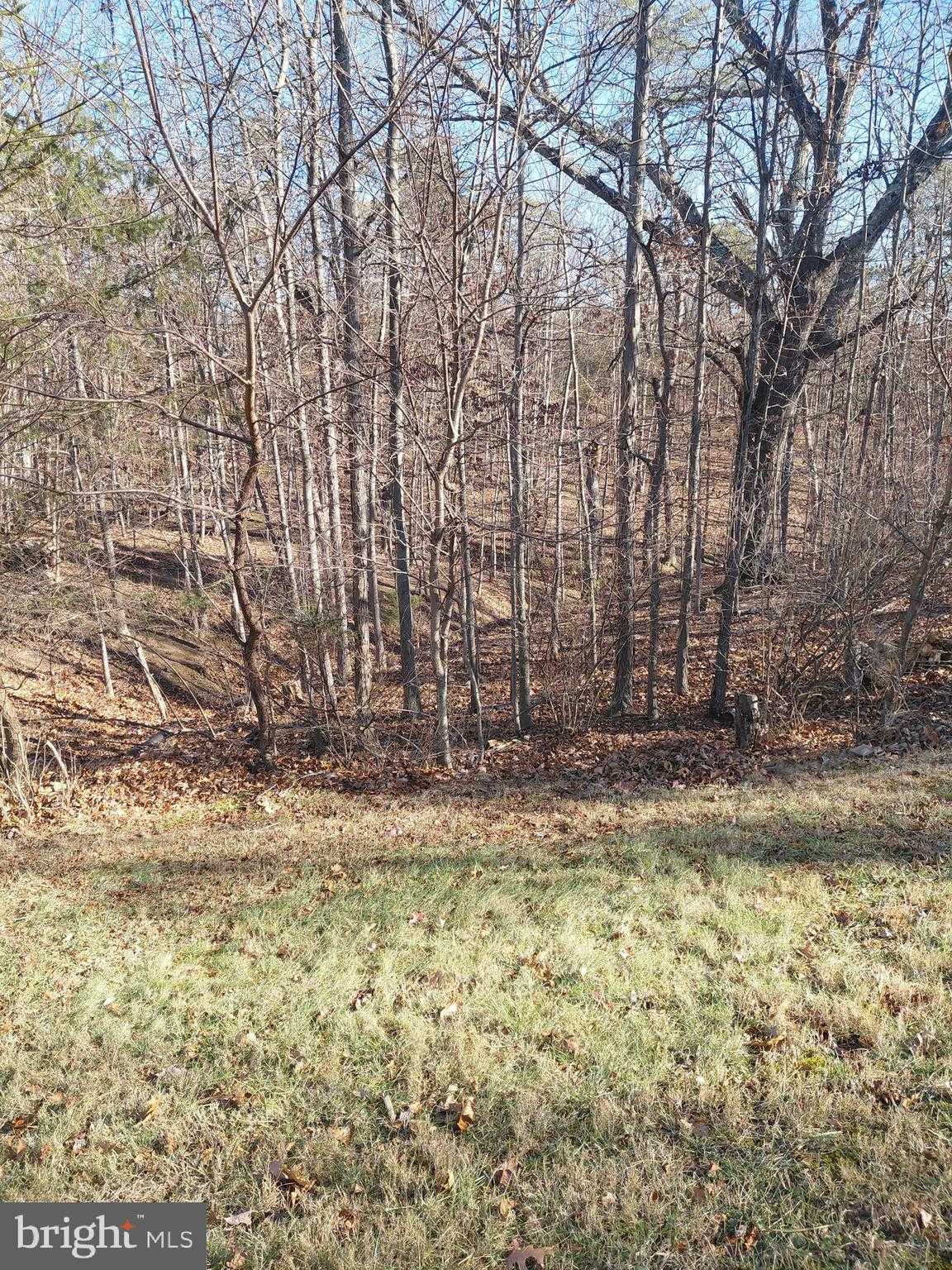 133 Upper Hawk Ridge Rd photo 17