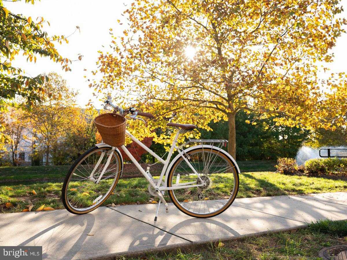 1114 Collina Ln photo 37