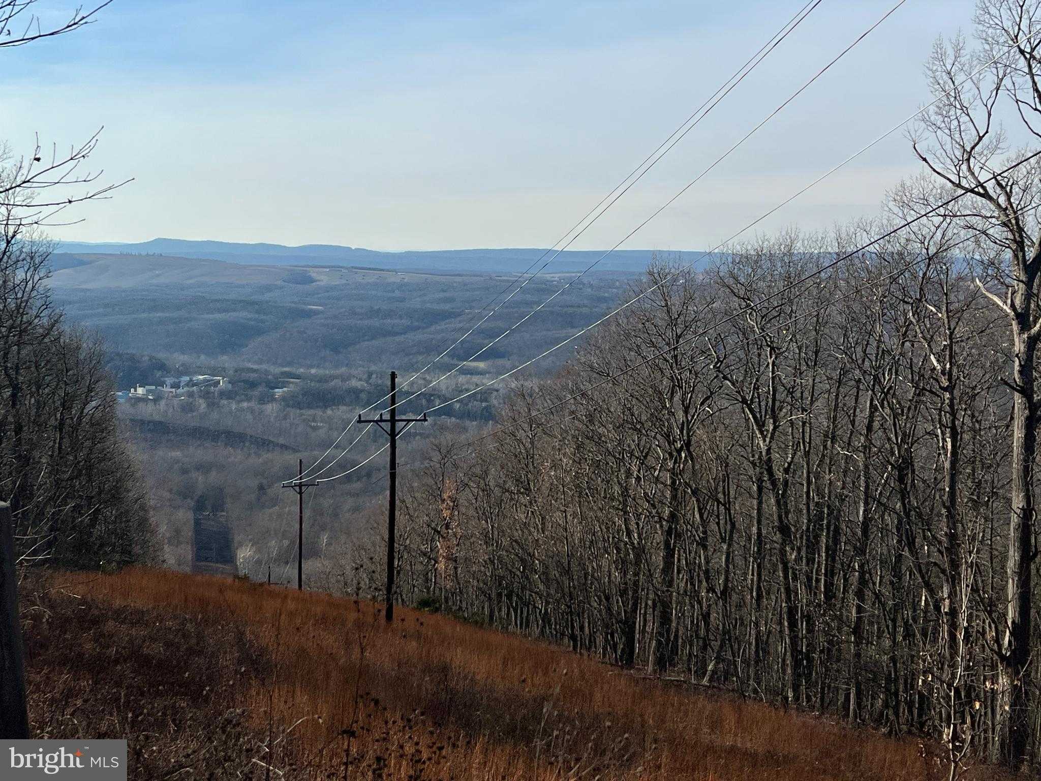 105 Bobcat Ct photo 3