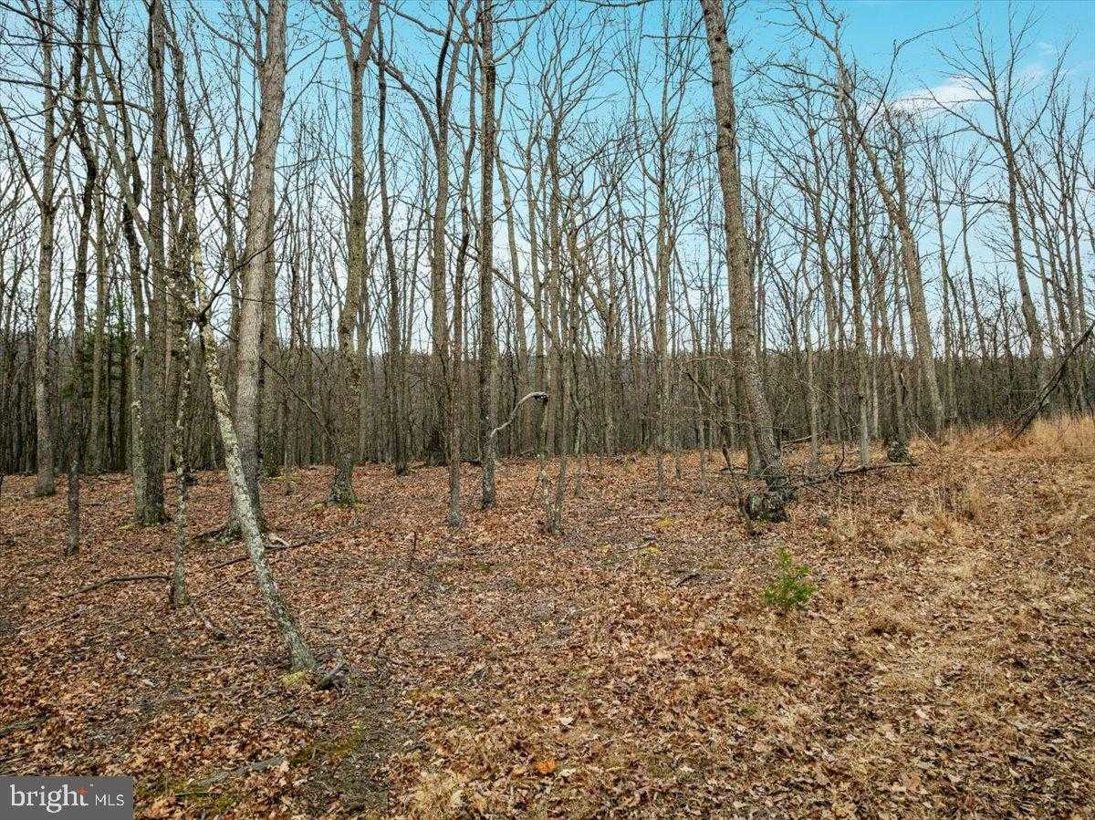 Hampshire St photo 16