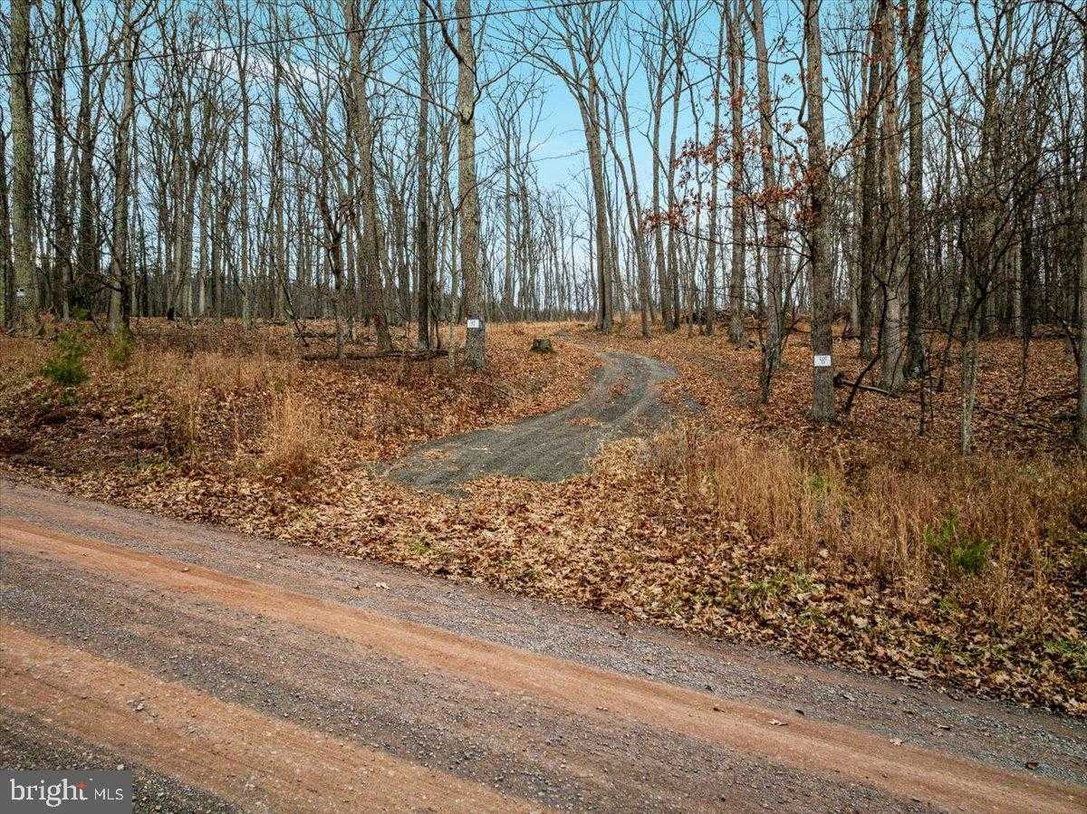 Hampshire St photo 2