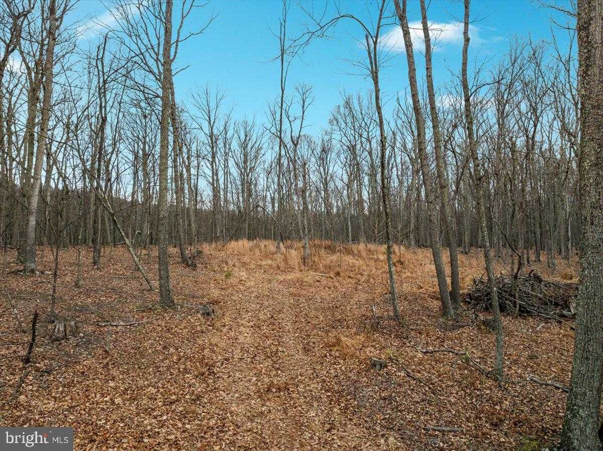 Hampshire St photo 5