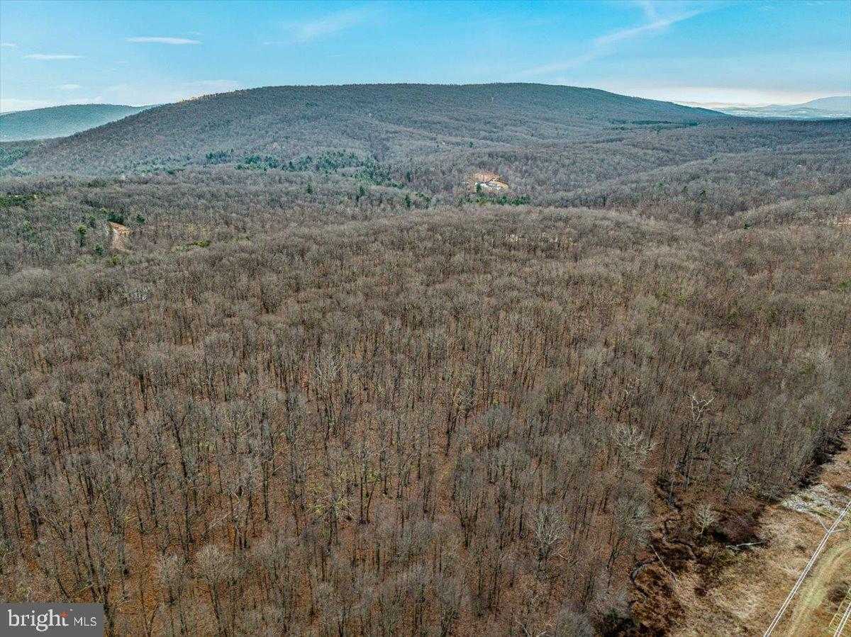 Hampshire St photo 7