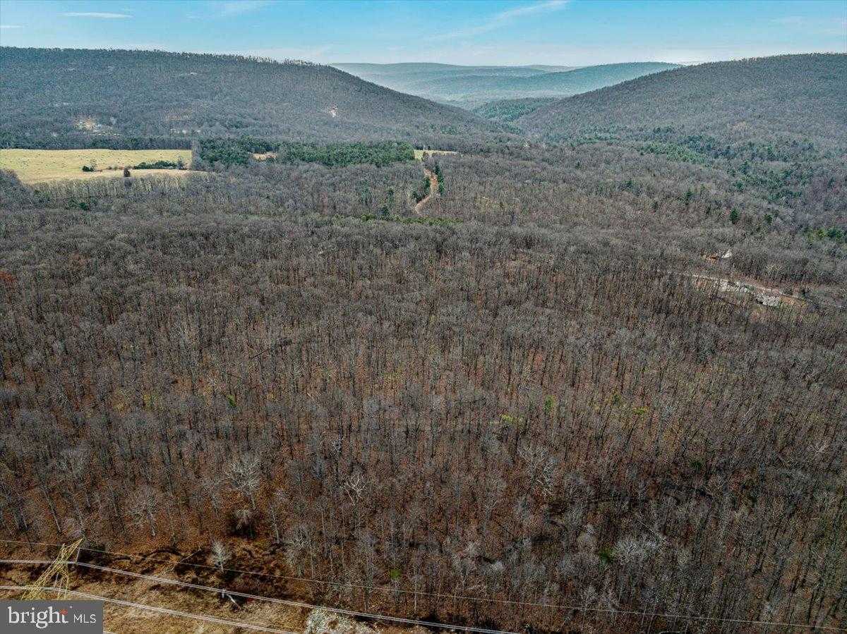 Hampshire St photo 8