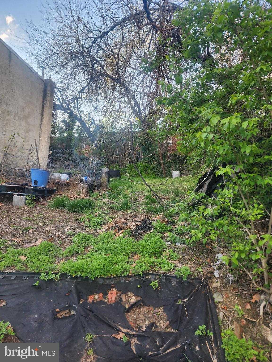 457 E Price St photo 3