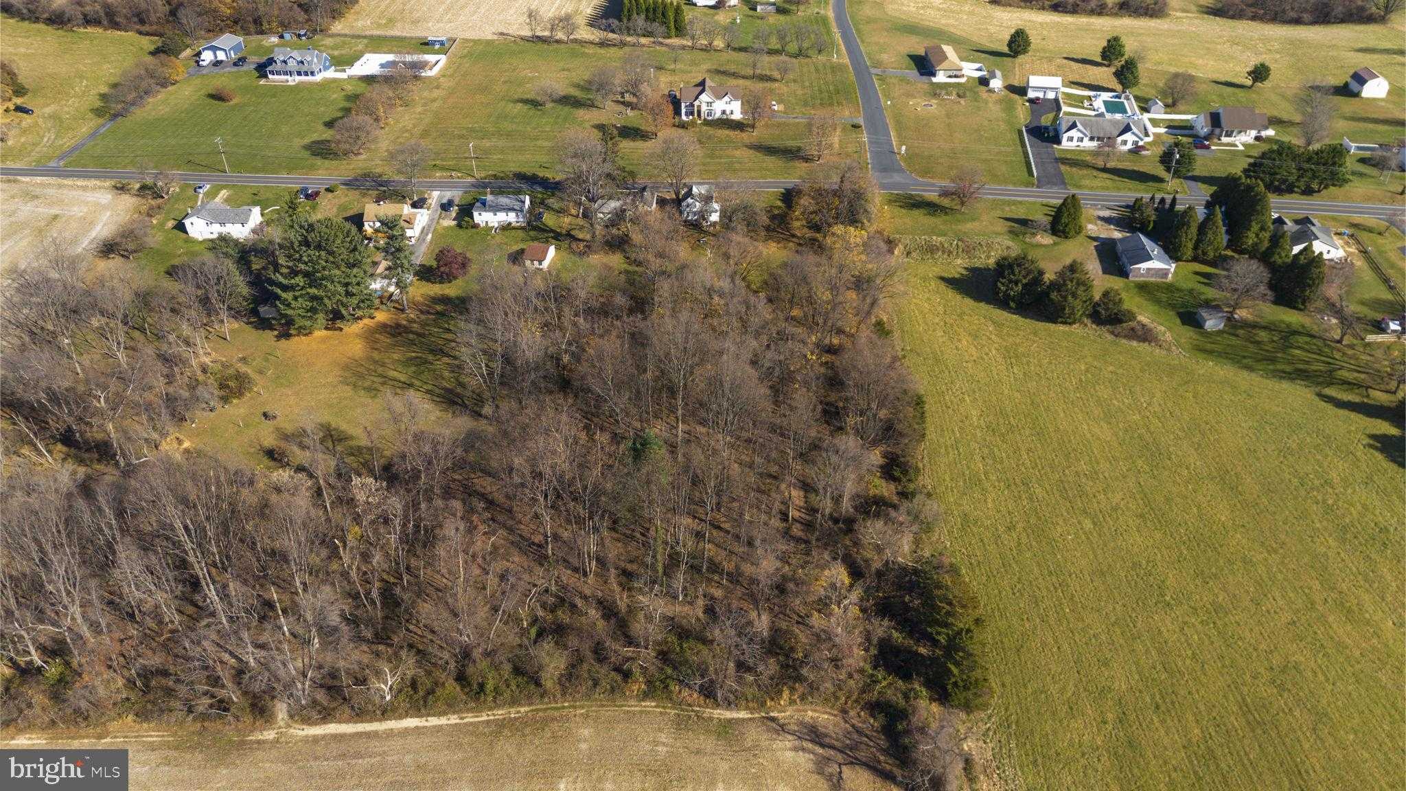 3904 Old Federal Hill Rd photo 11