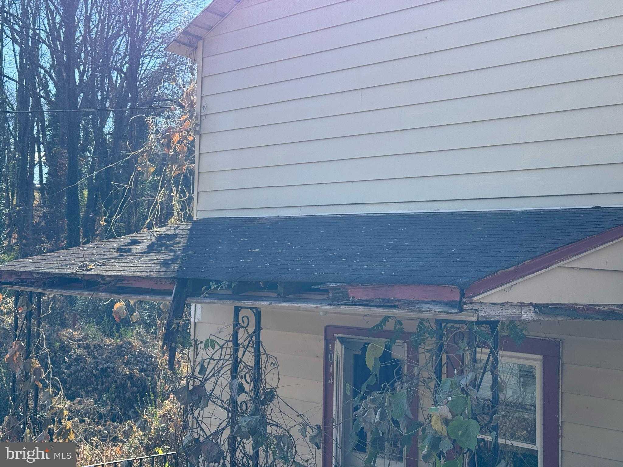 1014 Griggs Rd photo 25