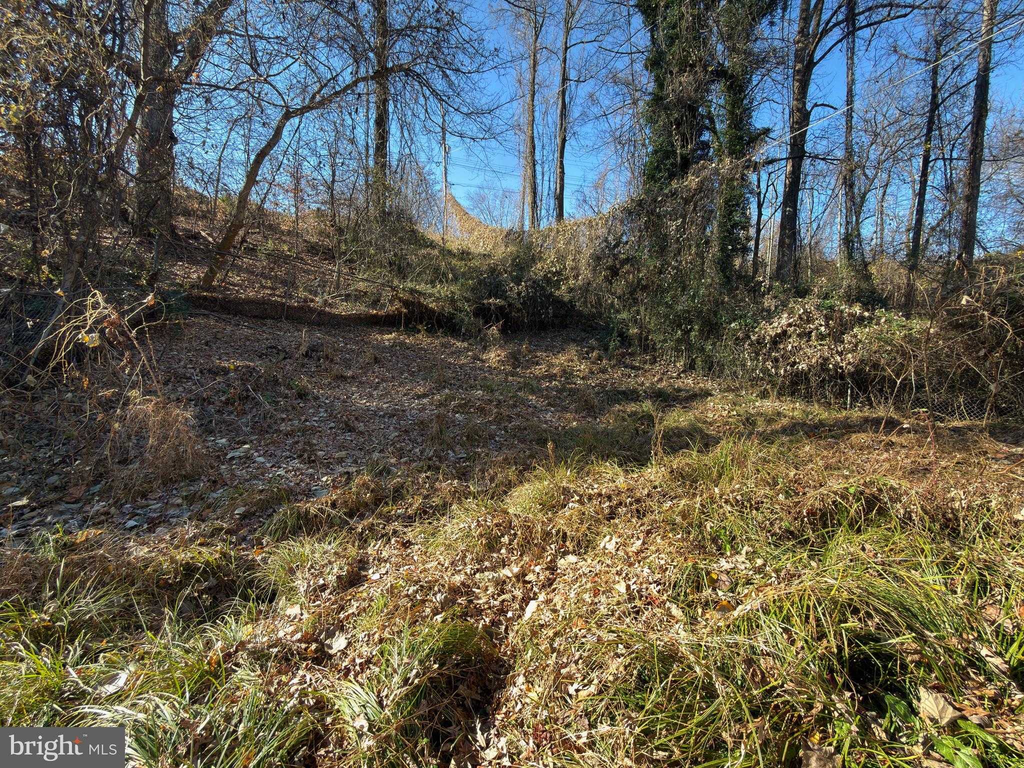 1014 Griggs Rd photo 30