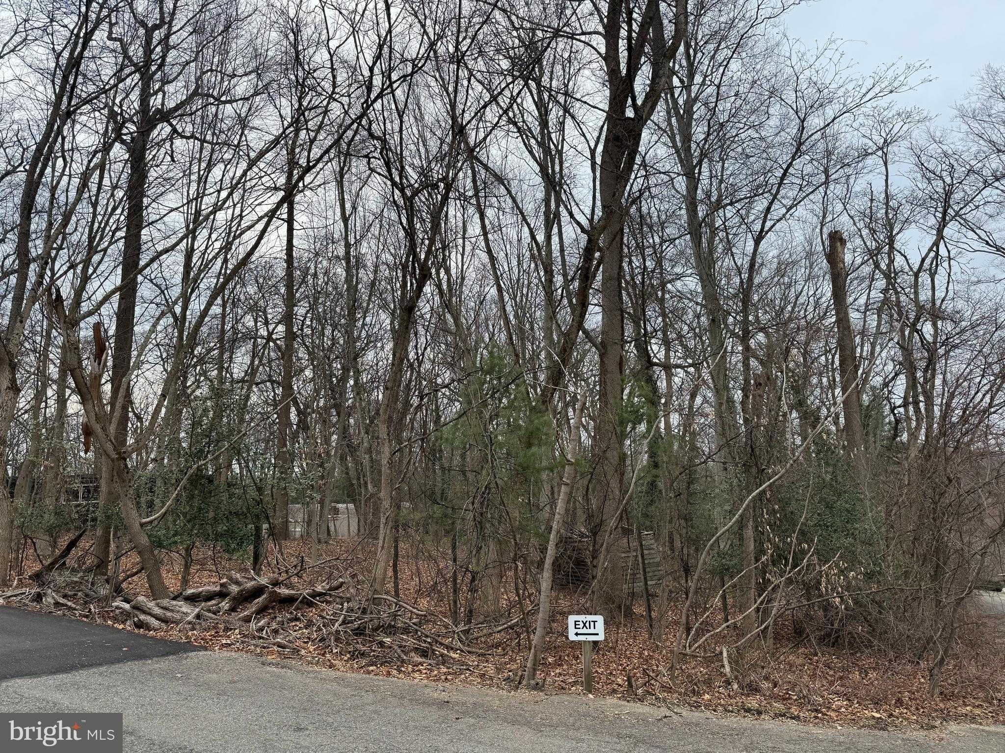 41 Fairview Rd photo 2