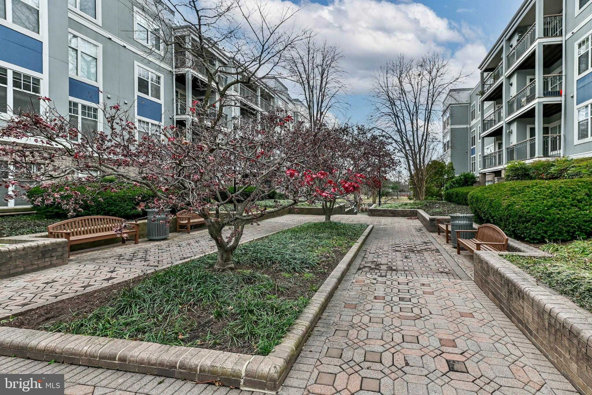 5573 Seminary Rd Apt 115 photo 25