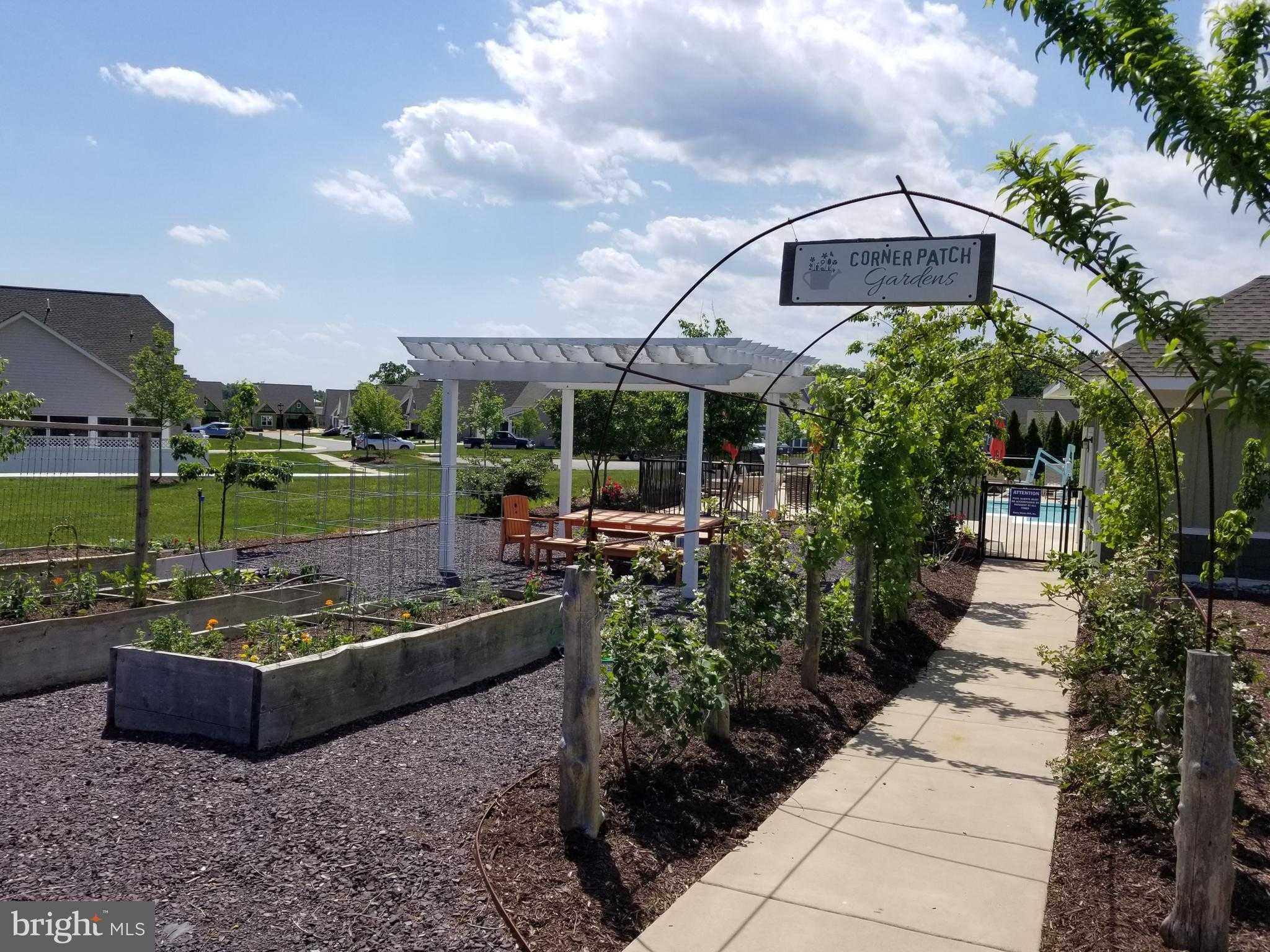 6708 Big Laurel Ln photo 44