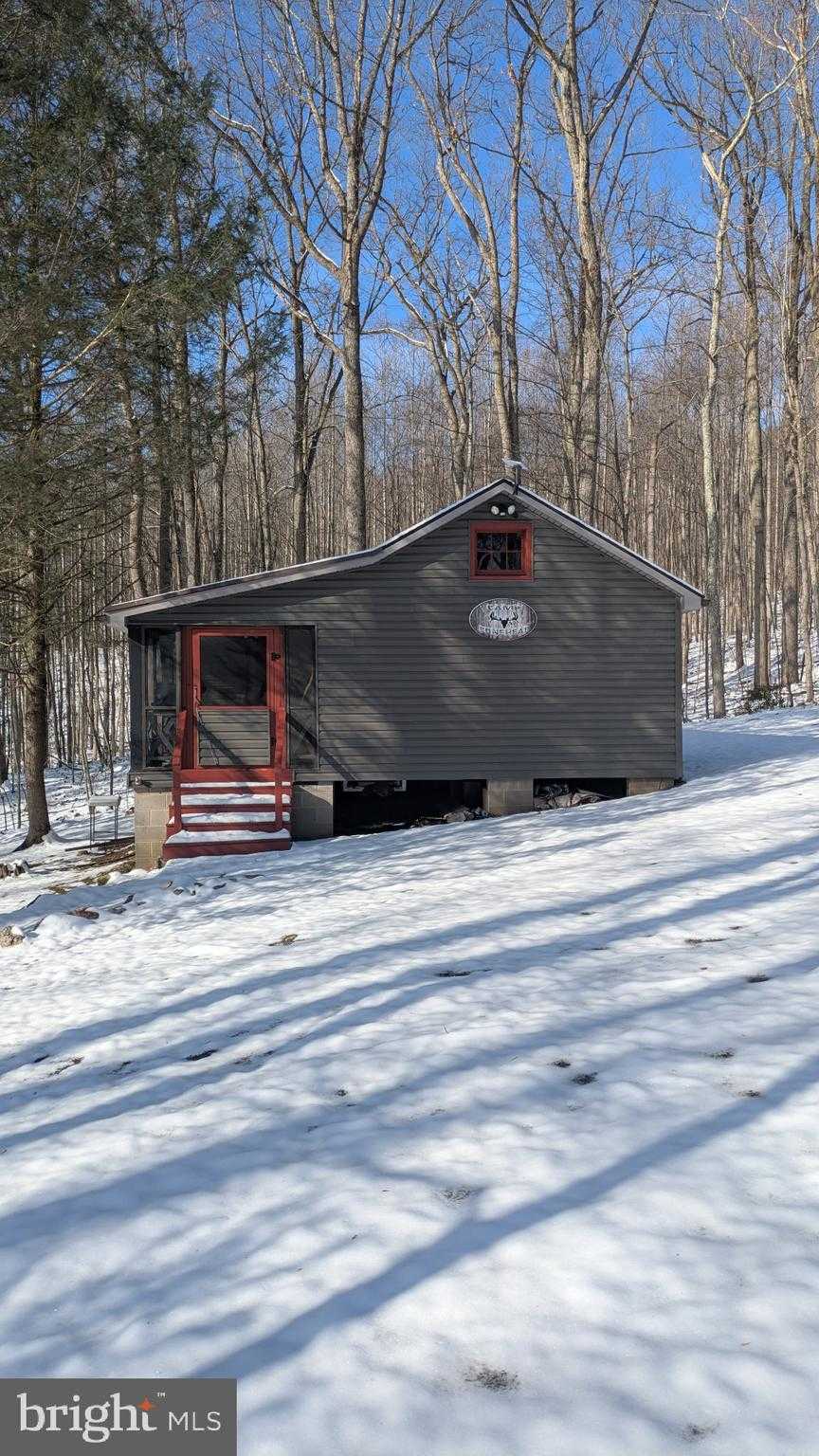 4202 Tram Rd photo 4