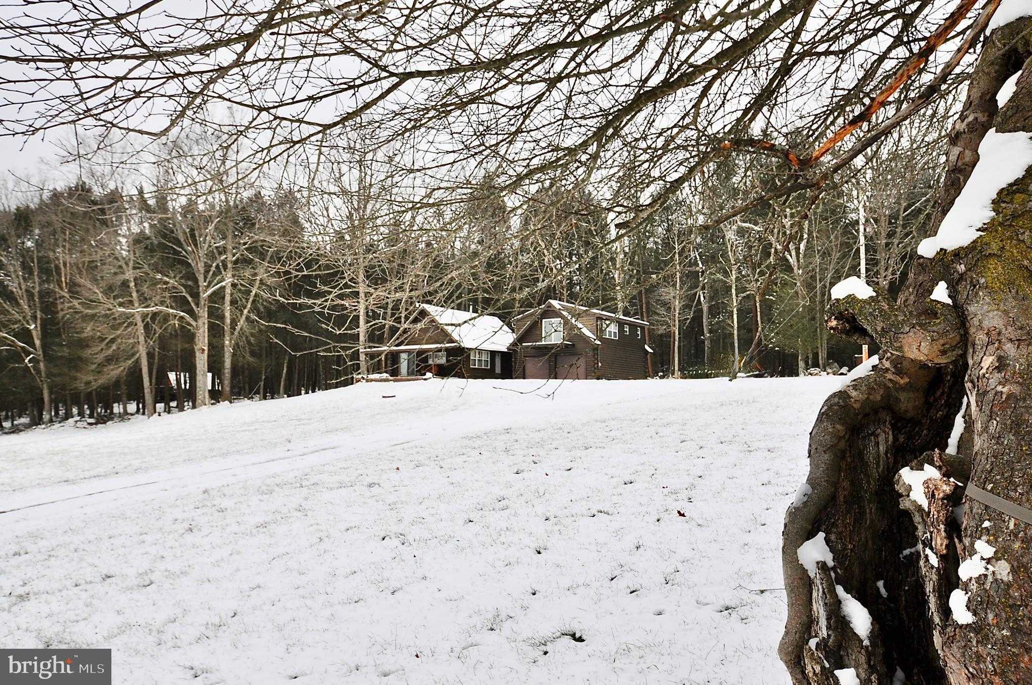 White Tail Aly photo 2