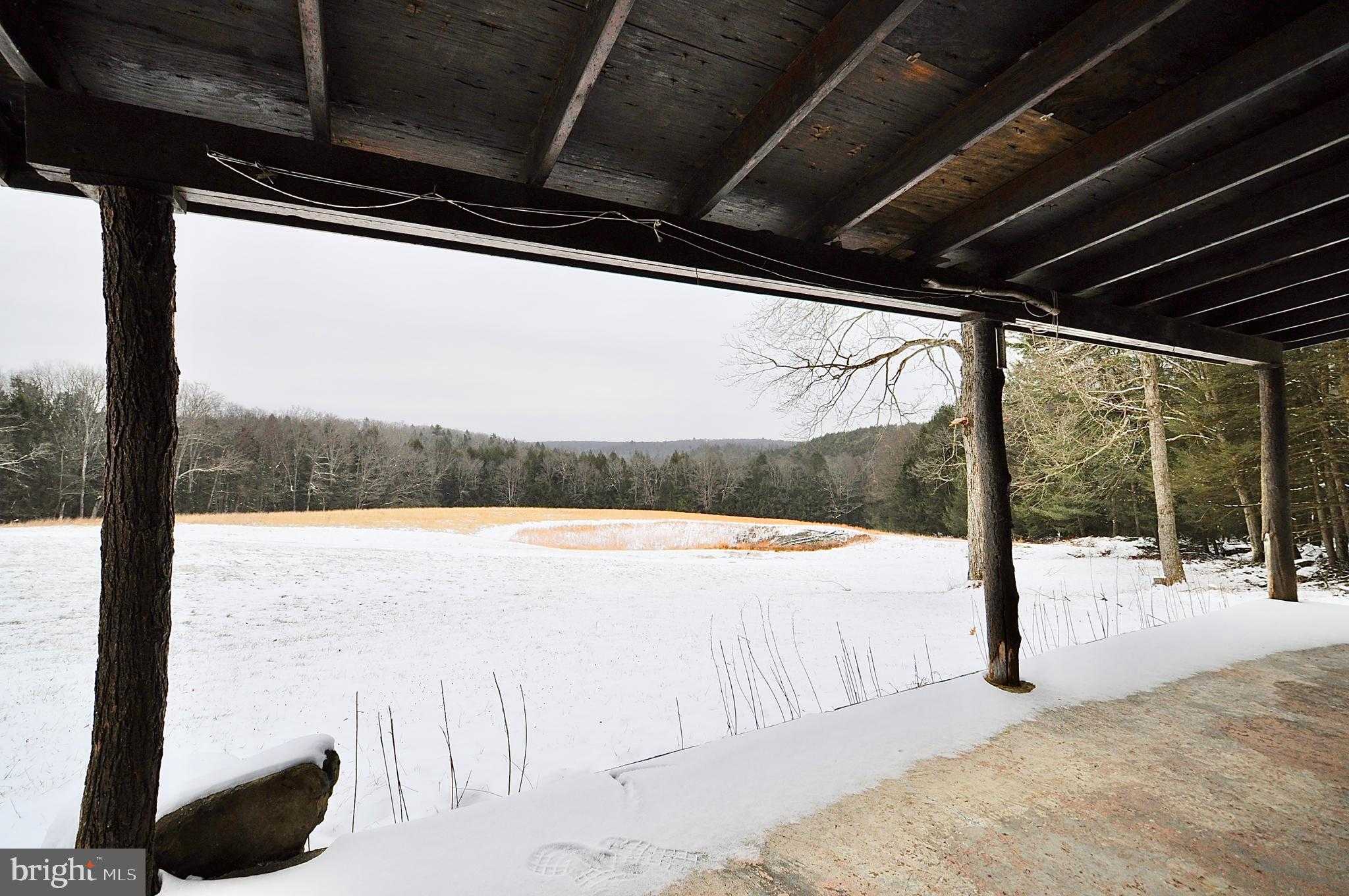 White Tail Aly photo 3