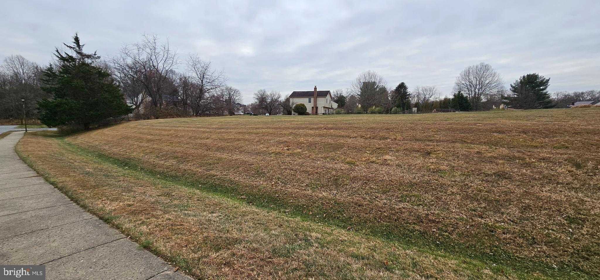 15330 Hildegard Ln photo 4