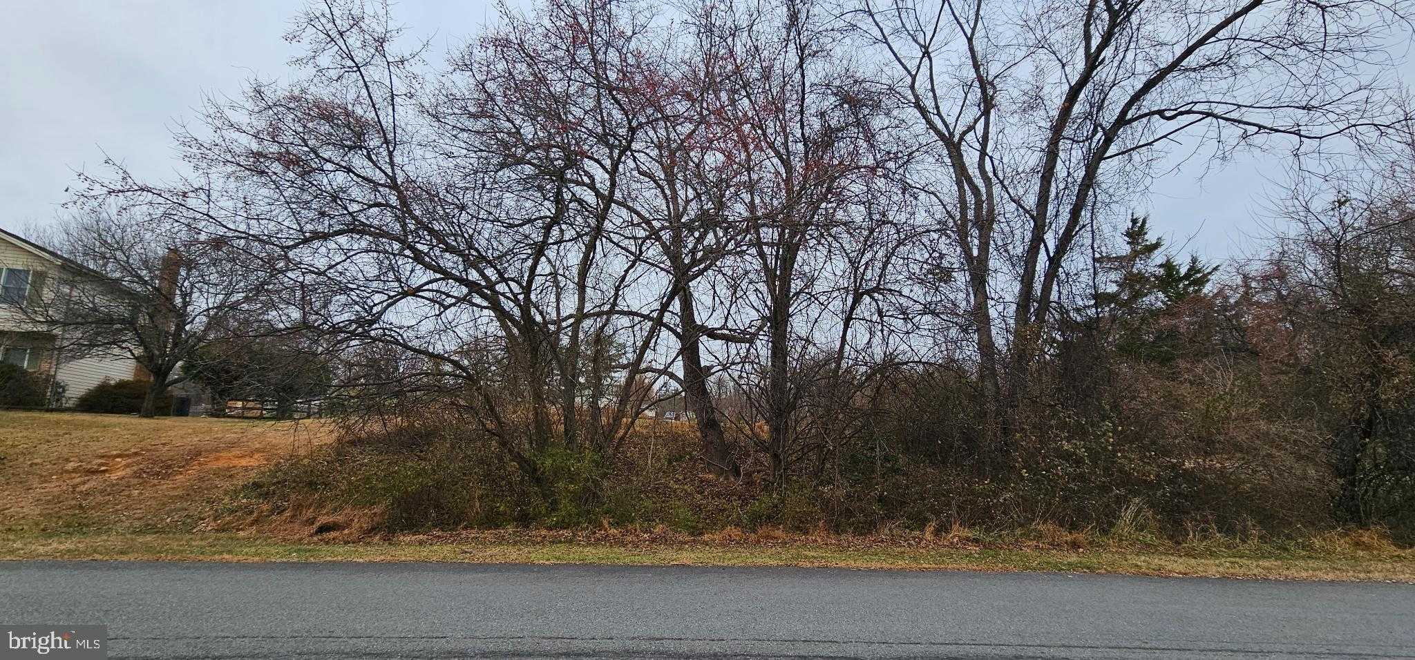 15330 Hildegard Ln photo 8