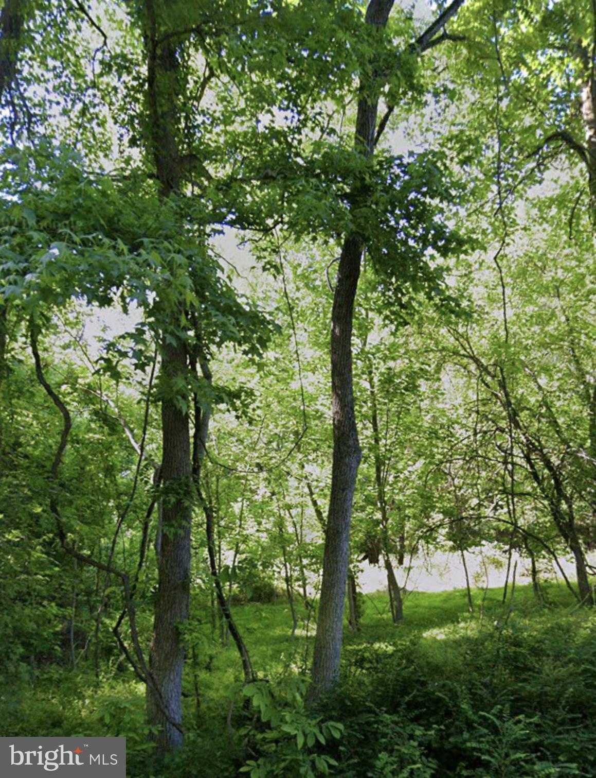 16301 Saint Thomas Church Rd