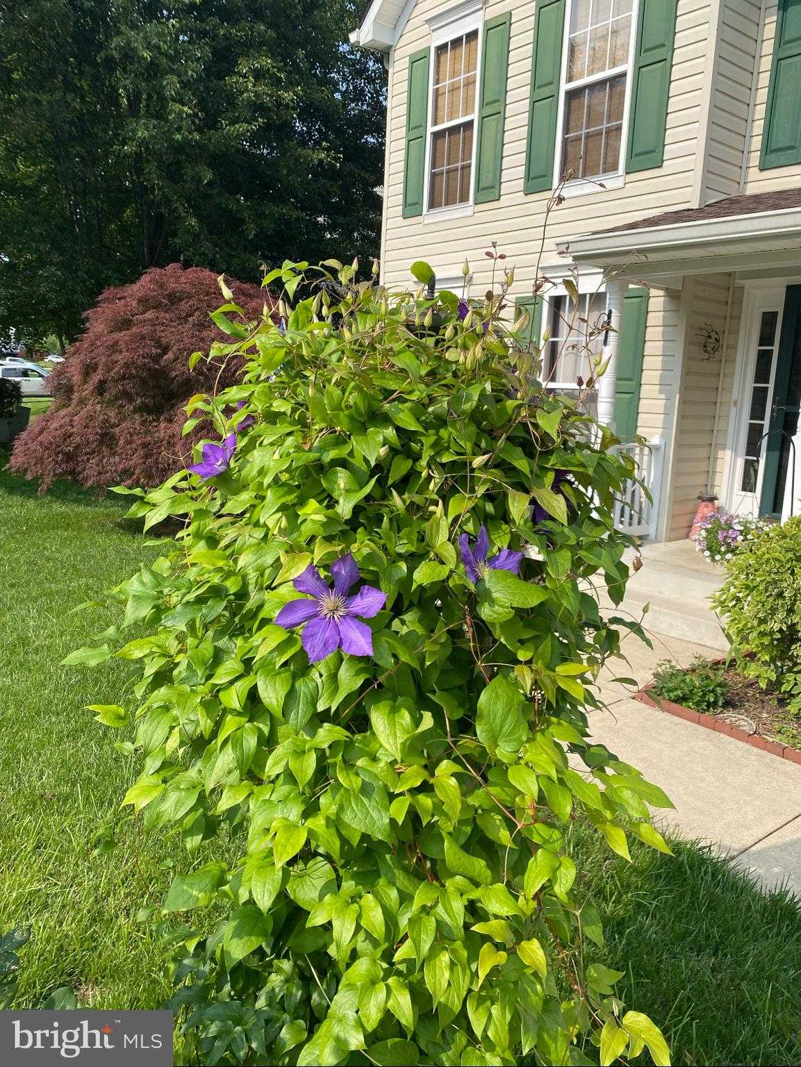 2425 Woodland CT photo 34