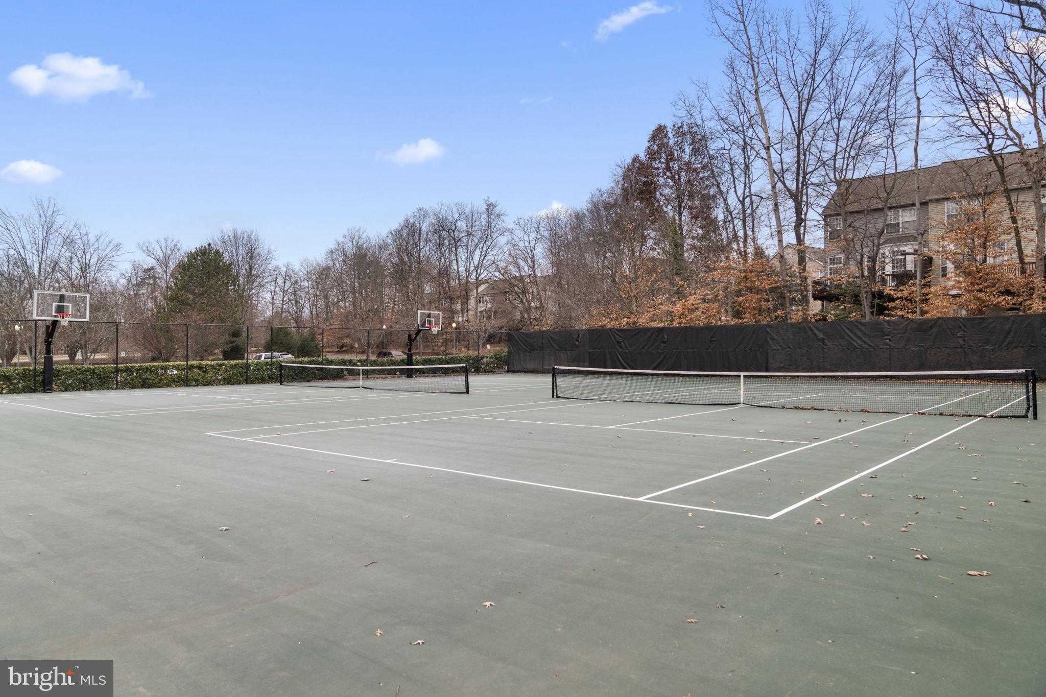 20377 Cottswold Ter photo 40