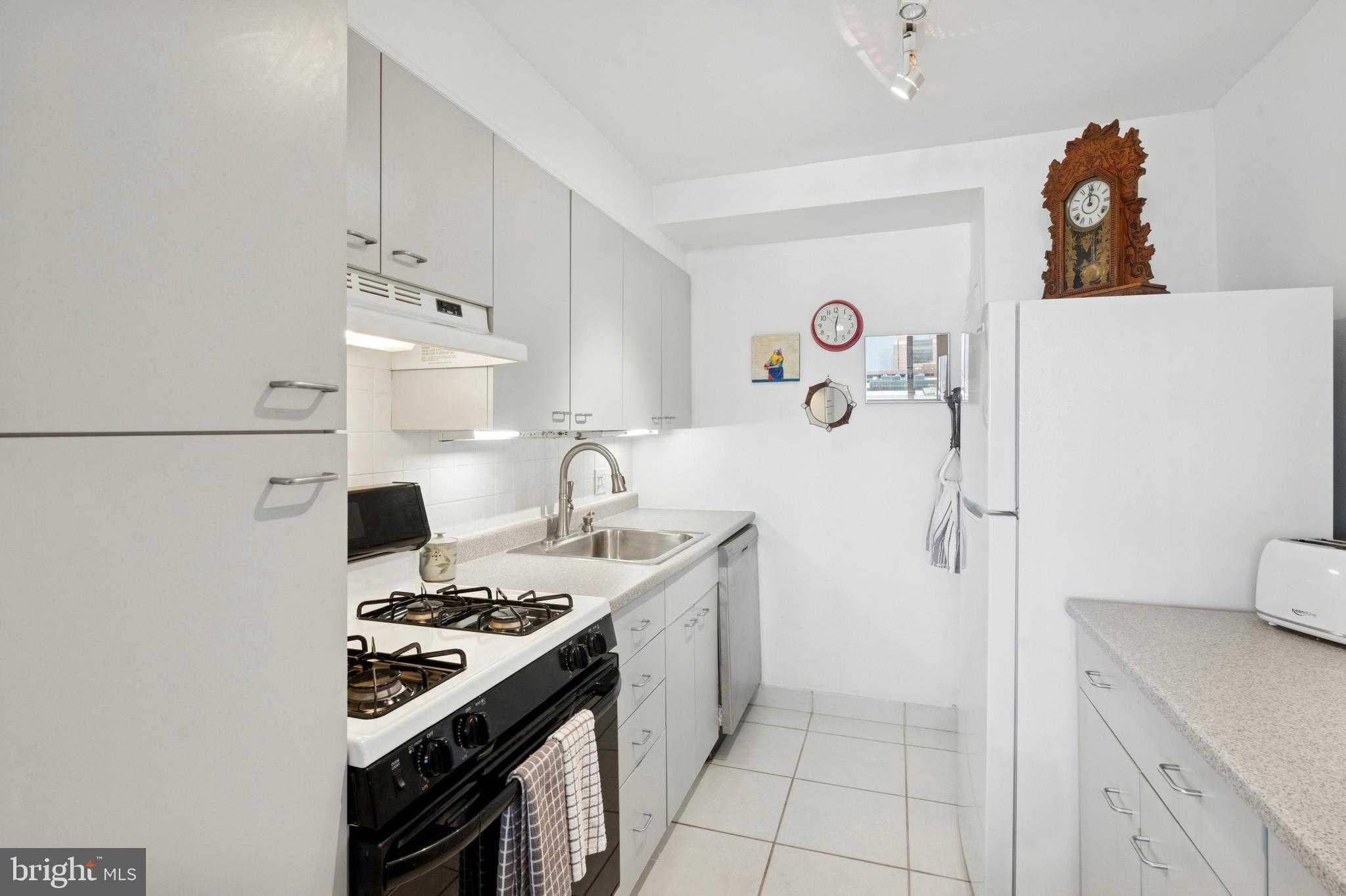 604 S Washington Sq photo 12