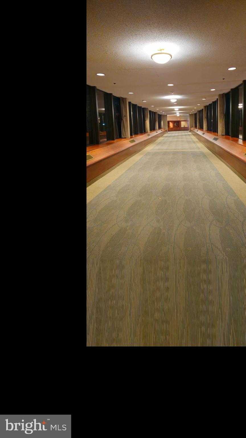 5501 Seminary Rd Apt 2502s photo 18