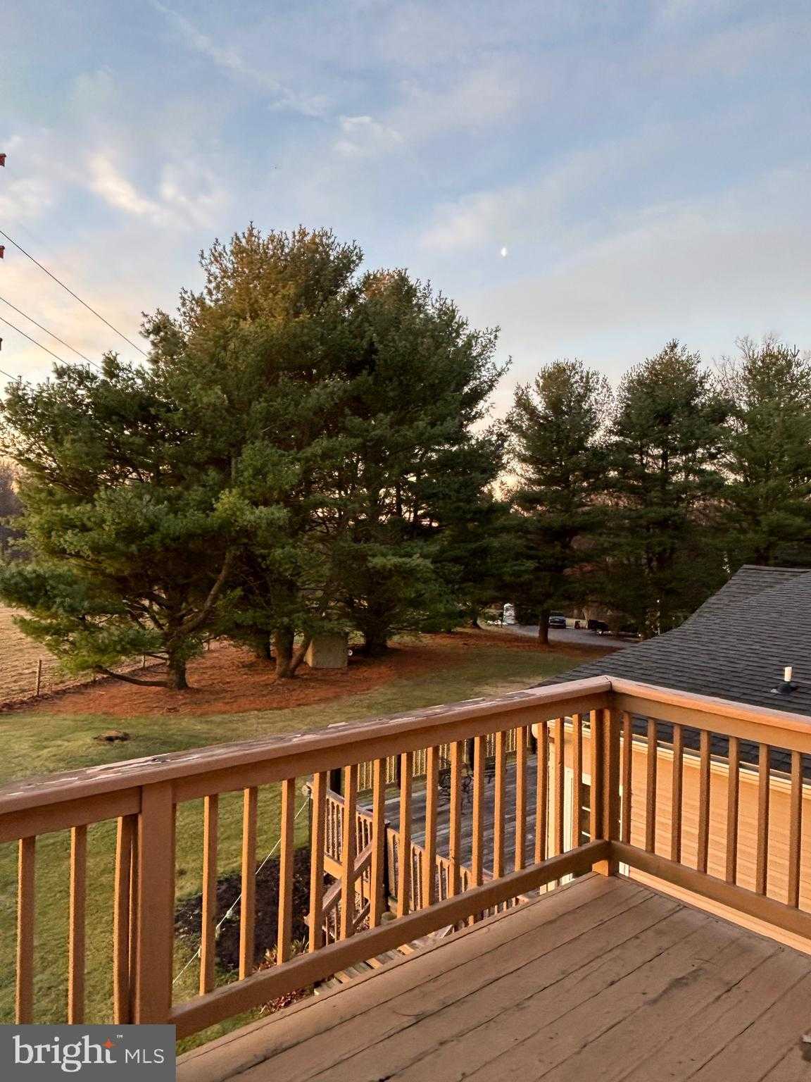 13 Farm Ridge CT photo 56