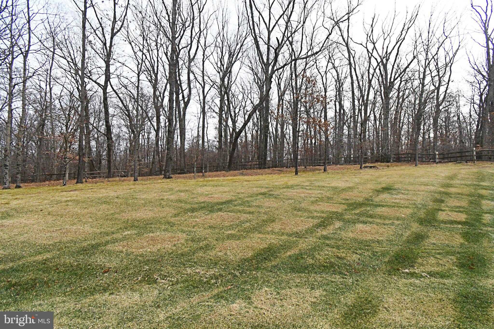 19 Goldney Dr photo 111