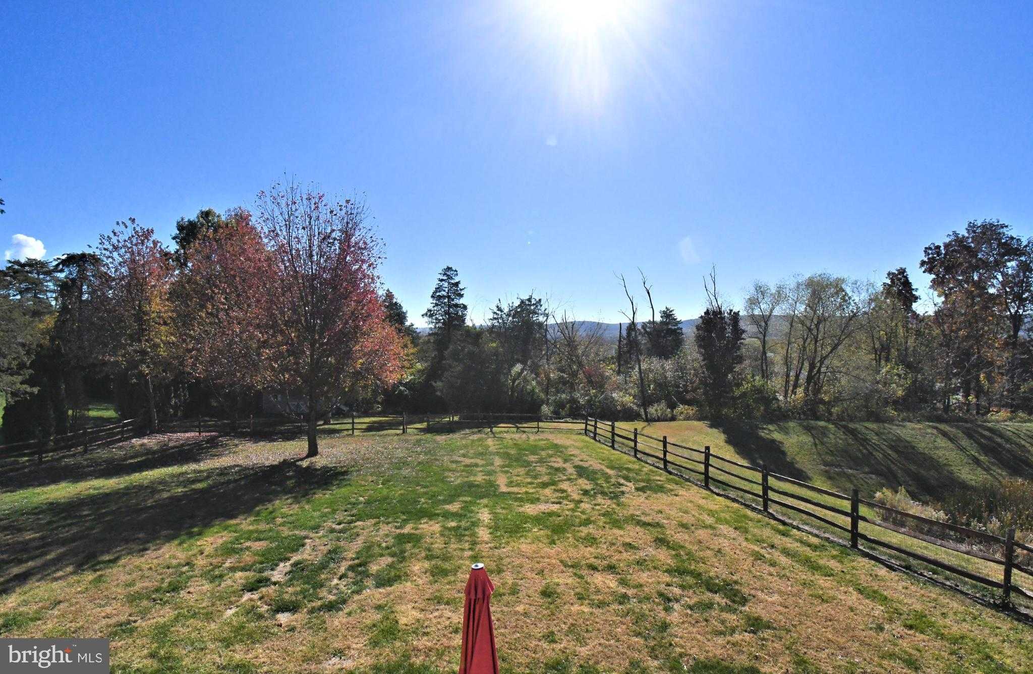 306 Kingston Dr photo 53