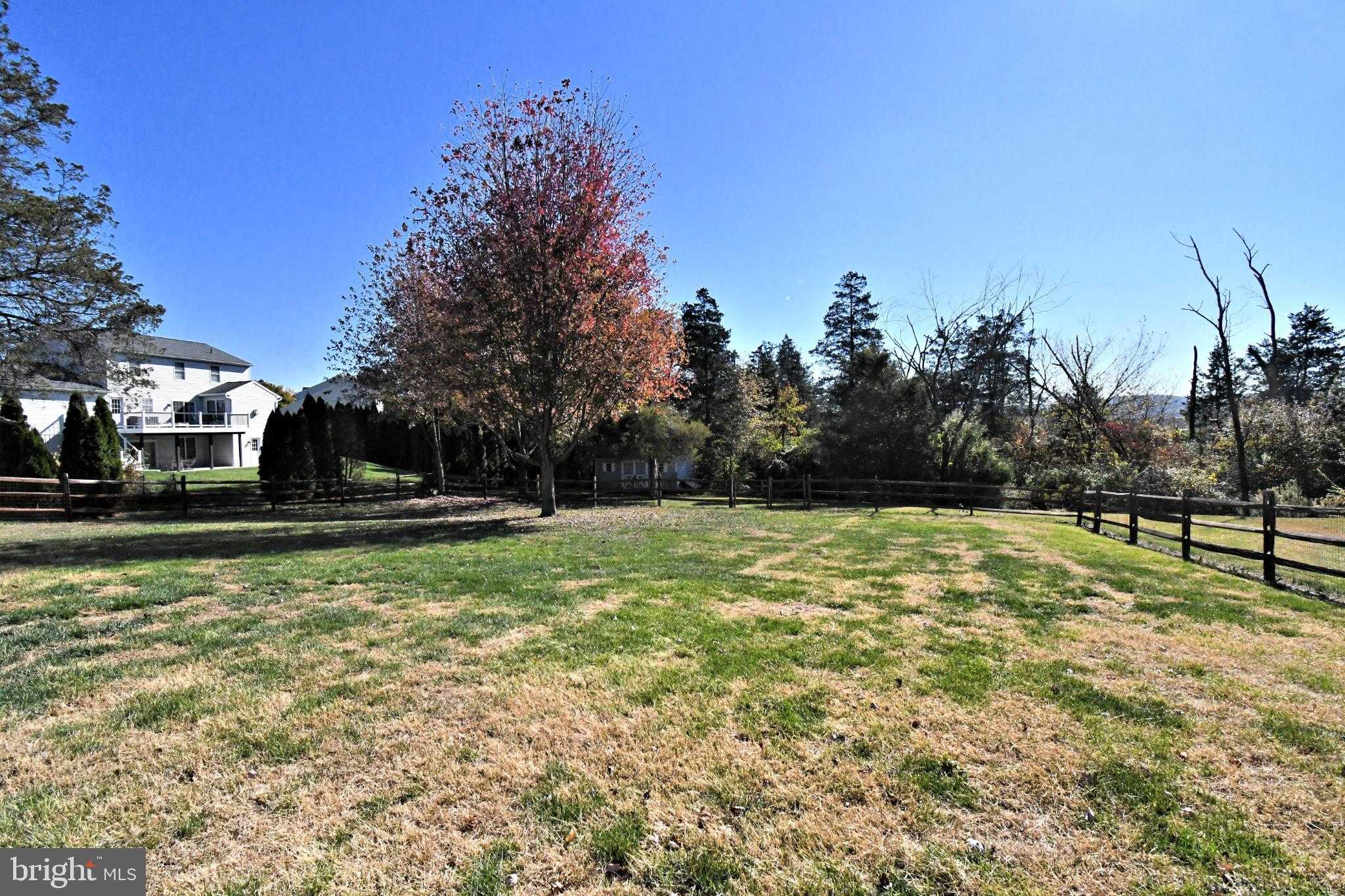 306 Kingston Dr photo 57