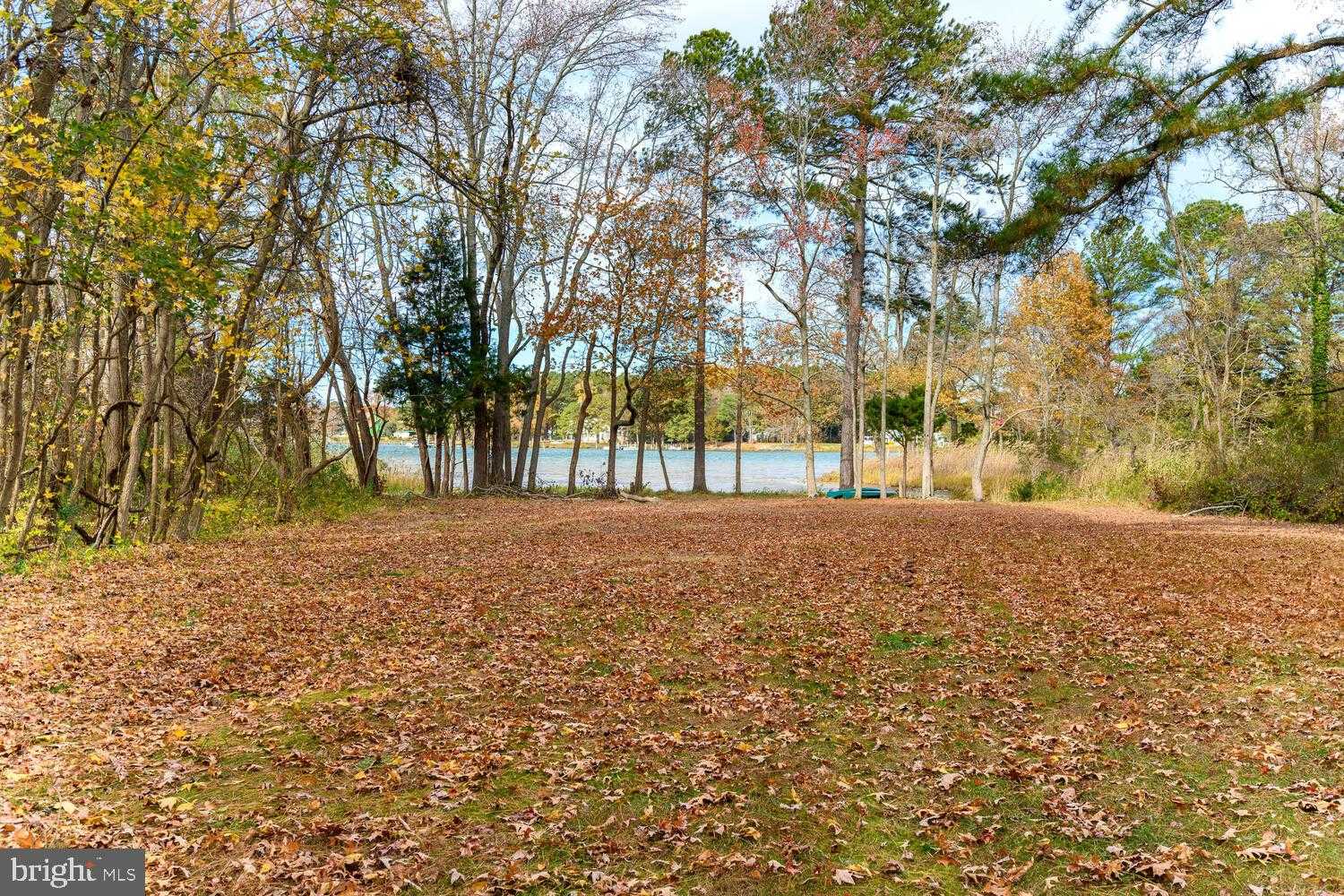 23869 Mount Misery Rd photo 4