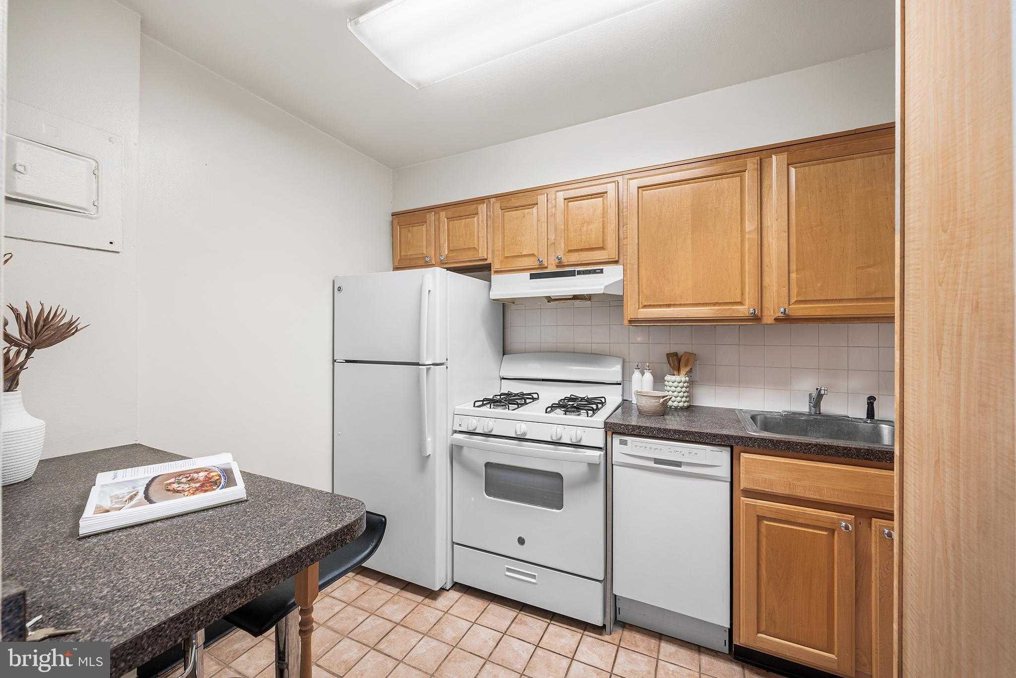 604 S Washington Sq photo 17